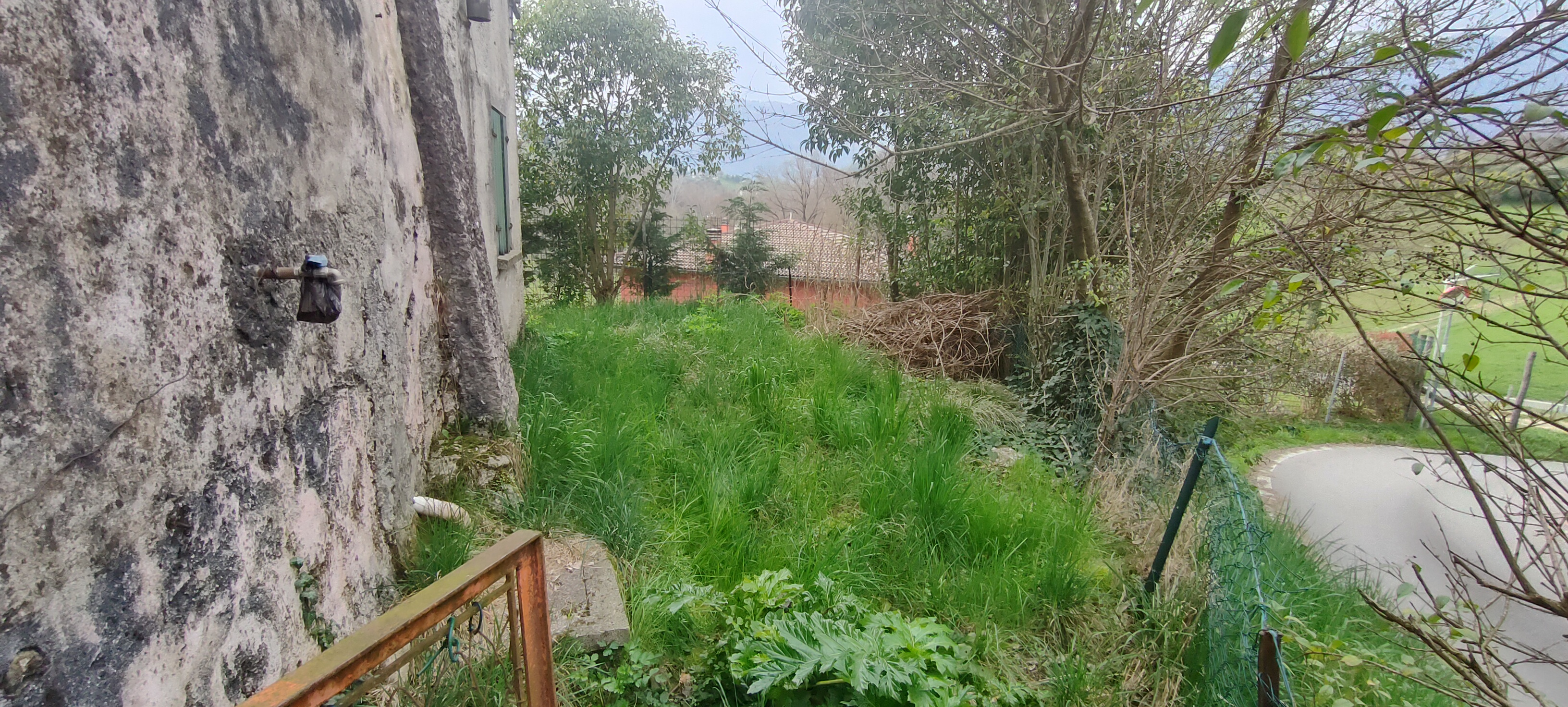 Immagine 5