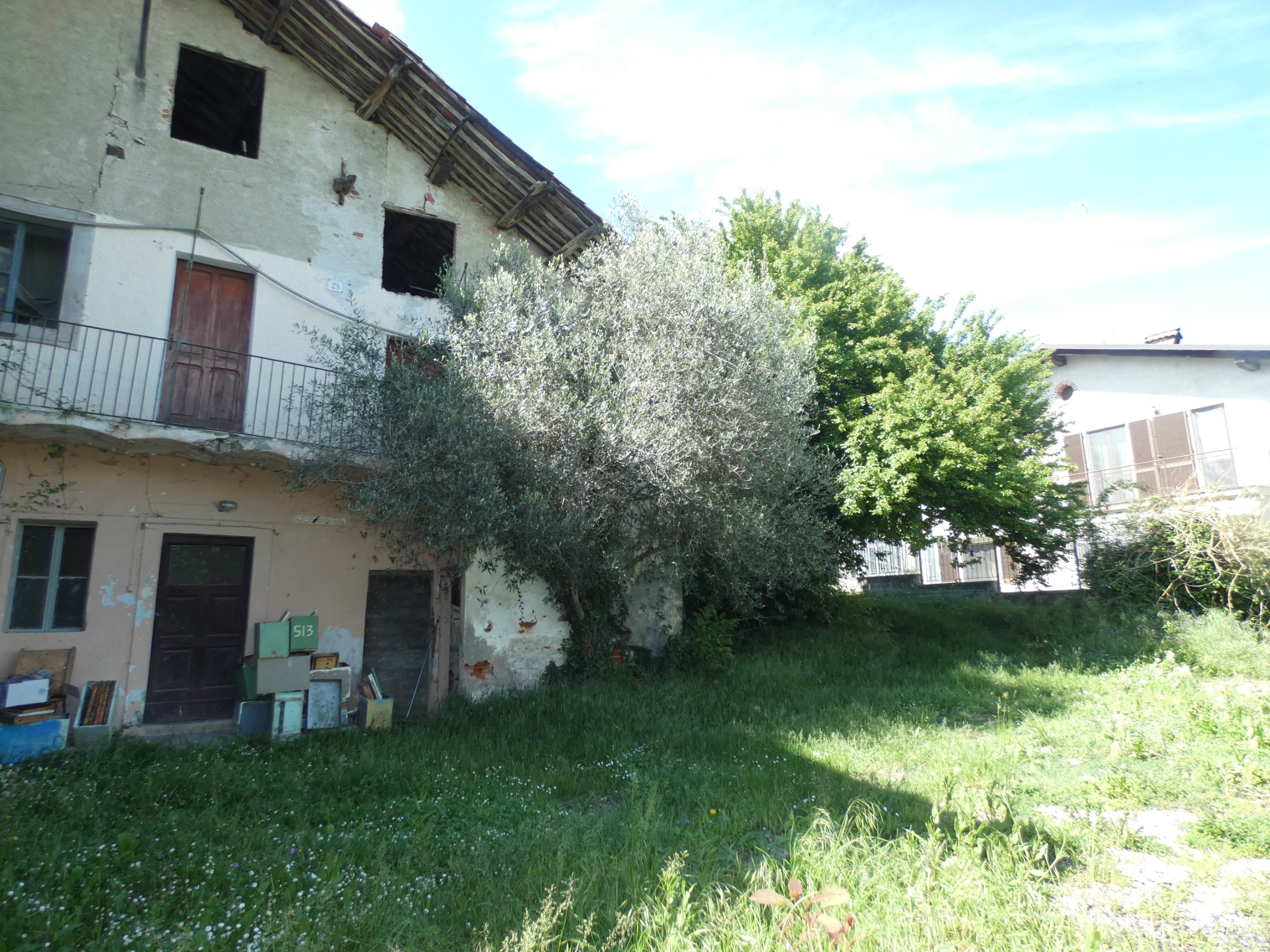 Immagine 9