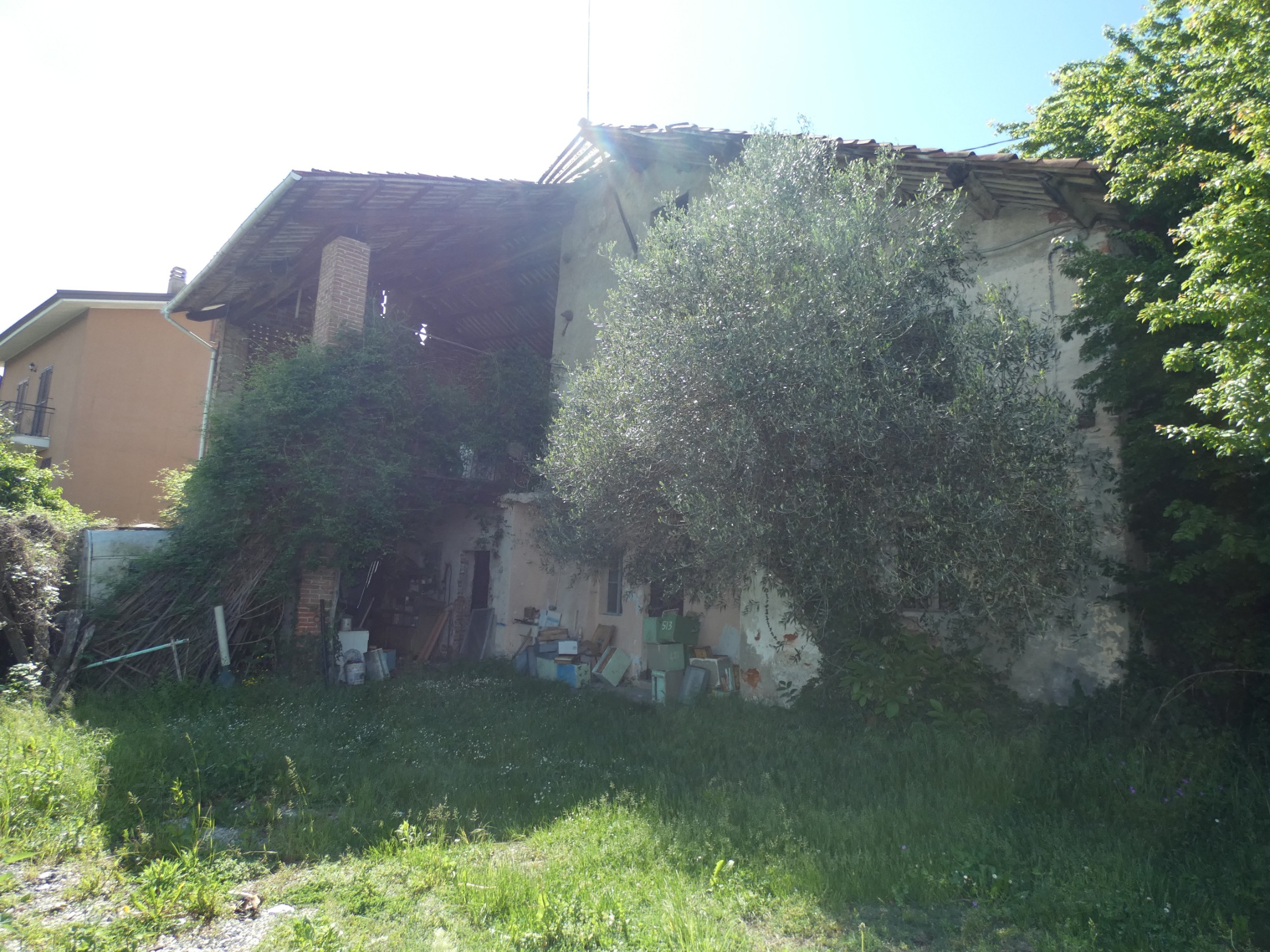 Immagine 8