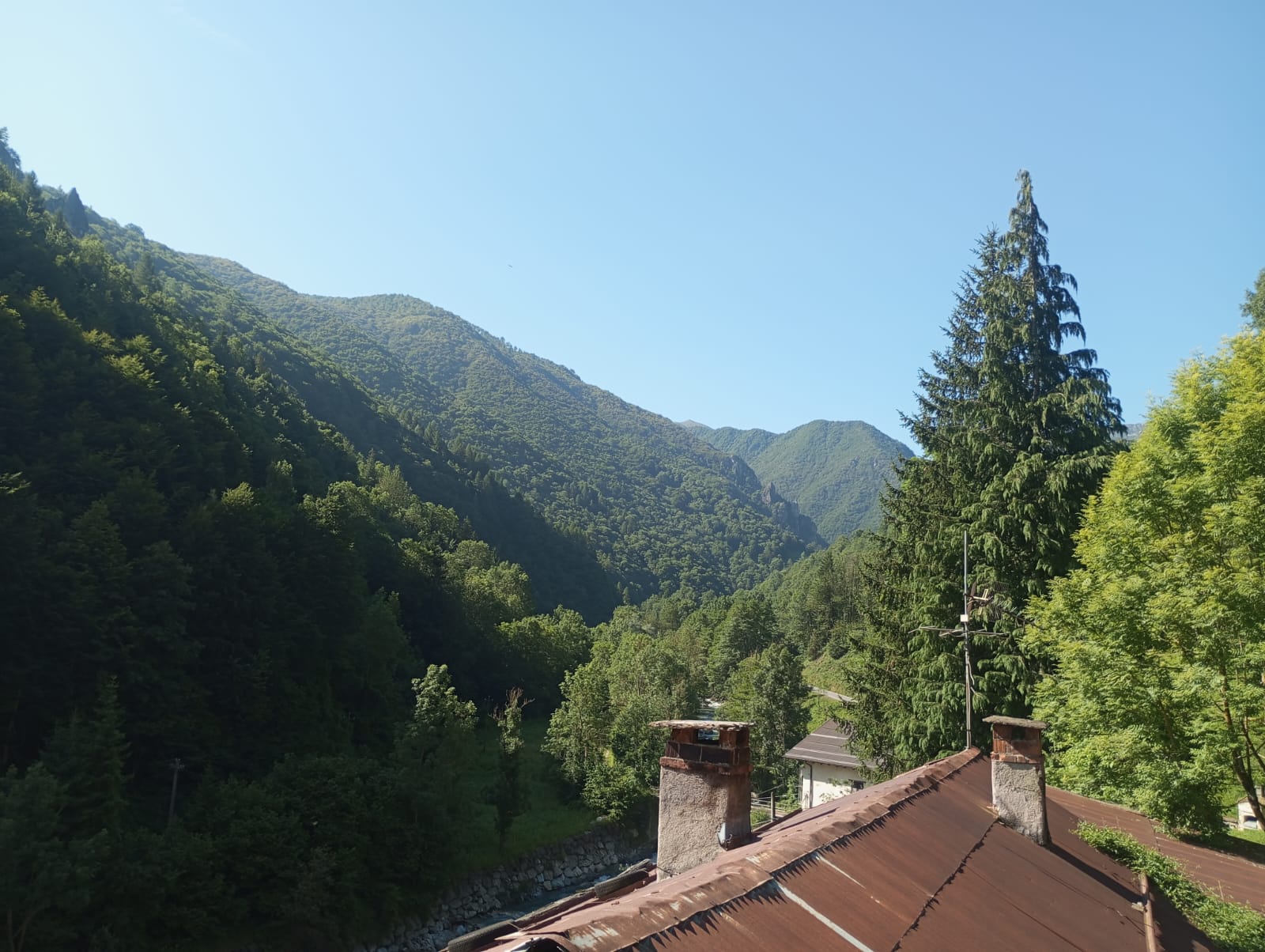 Immagine 3