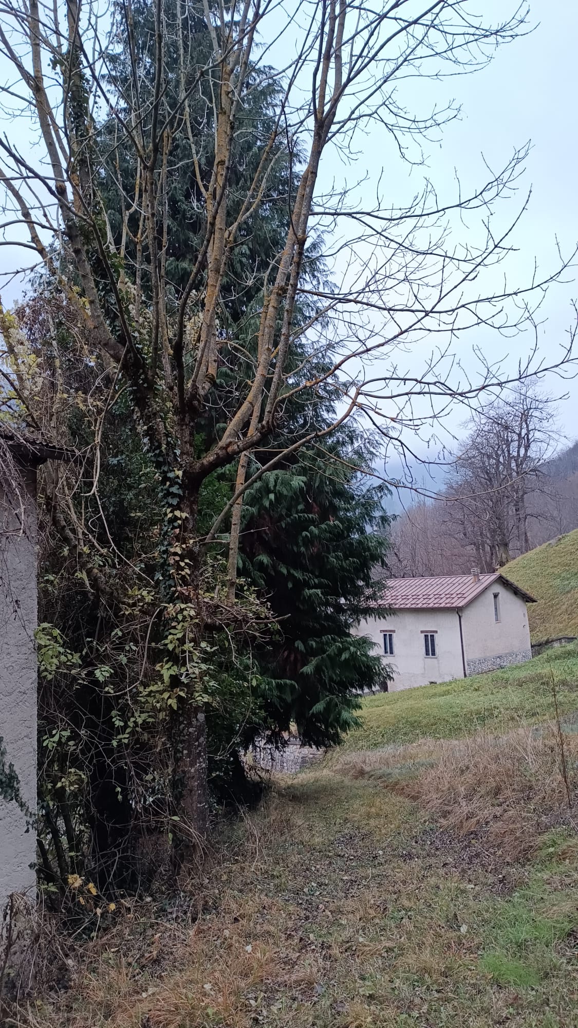Immagine 11