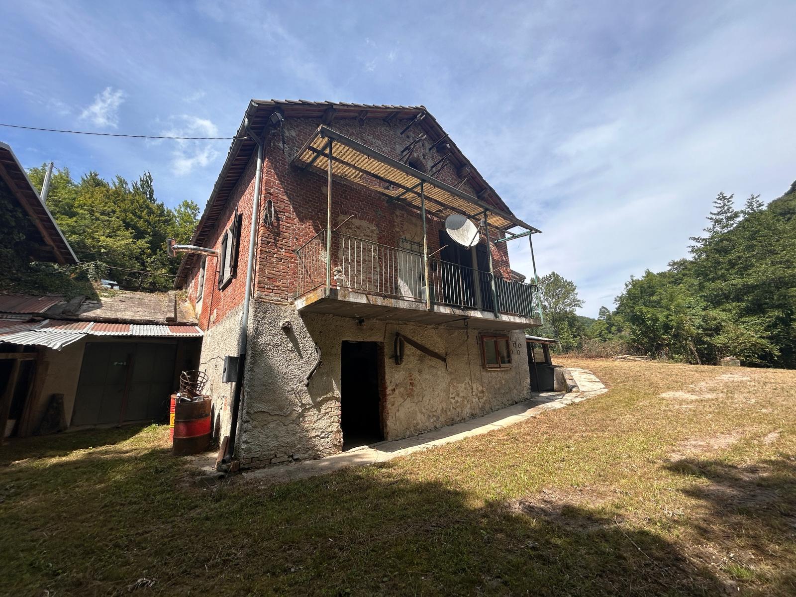 Immagine 2
