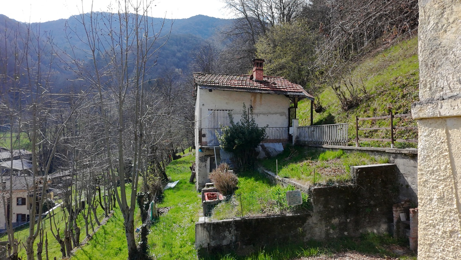 Immagine 3