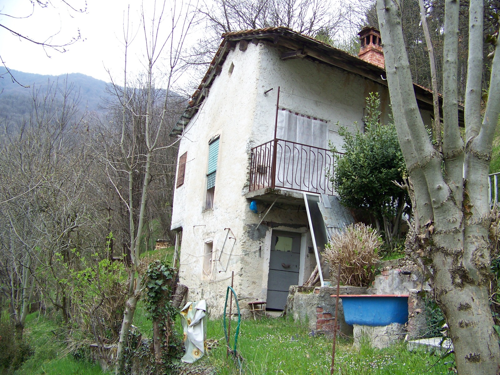 Immagine 4