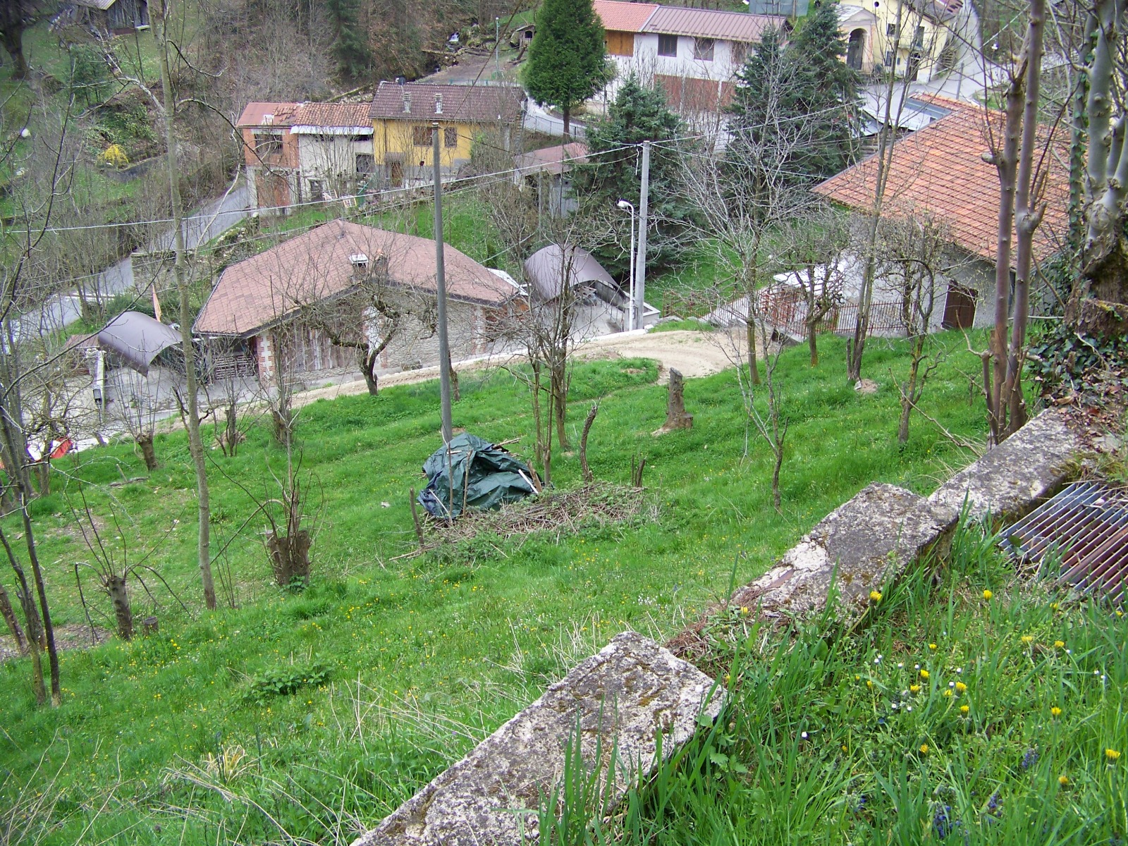 Immagine 6