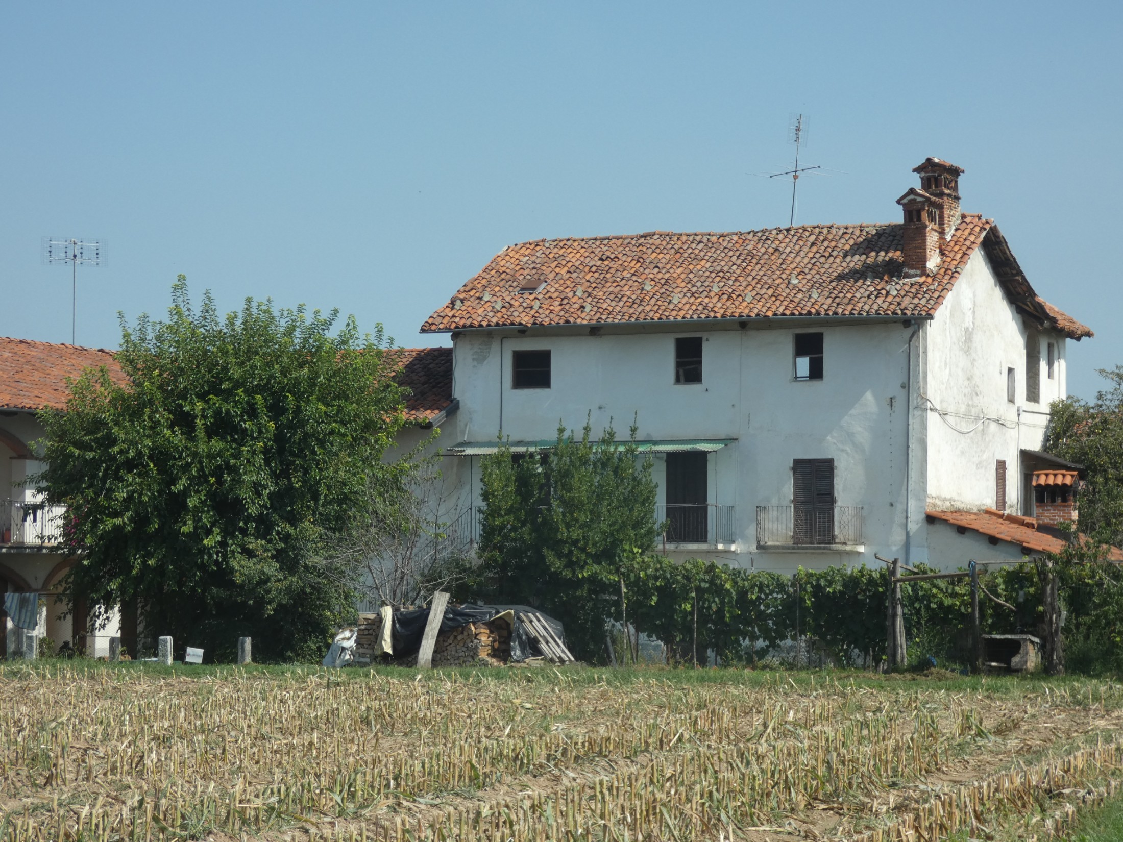 Immagine 26