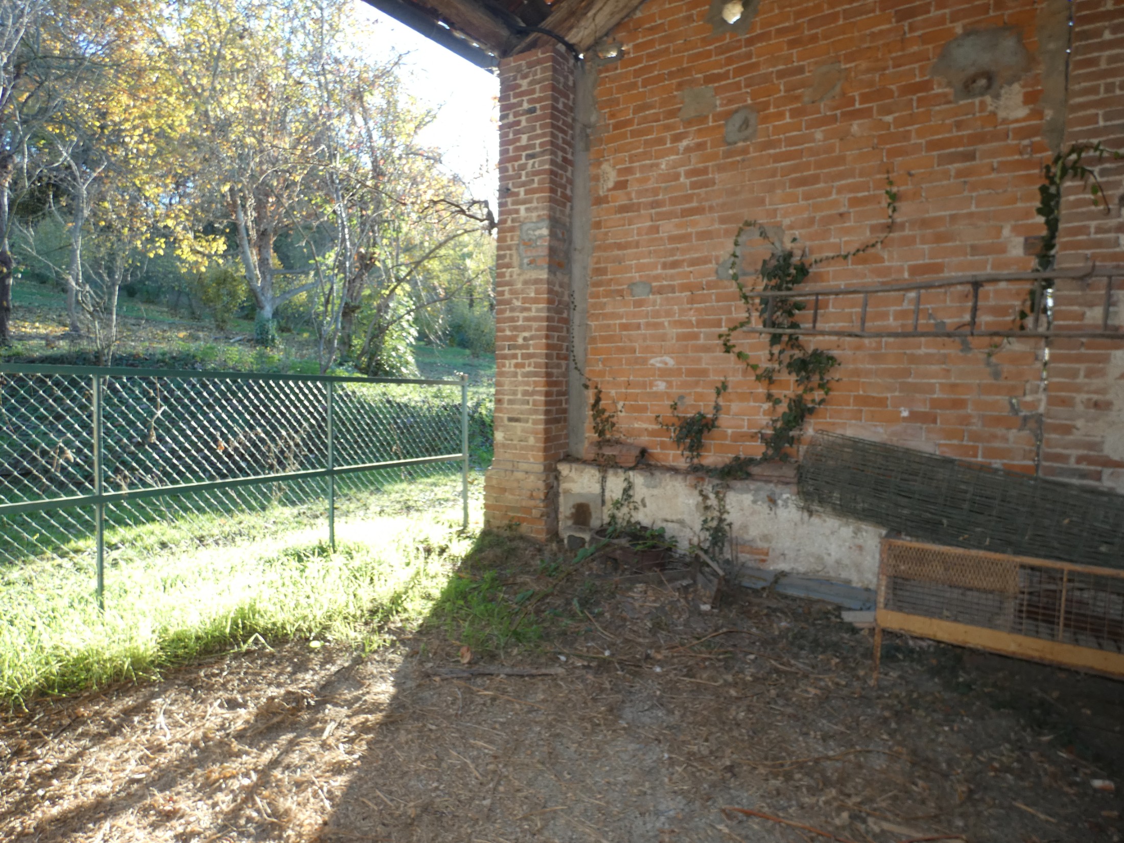 Immagine 5