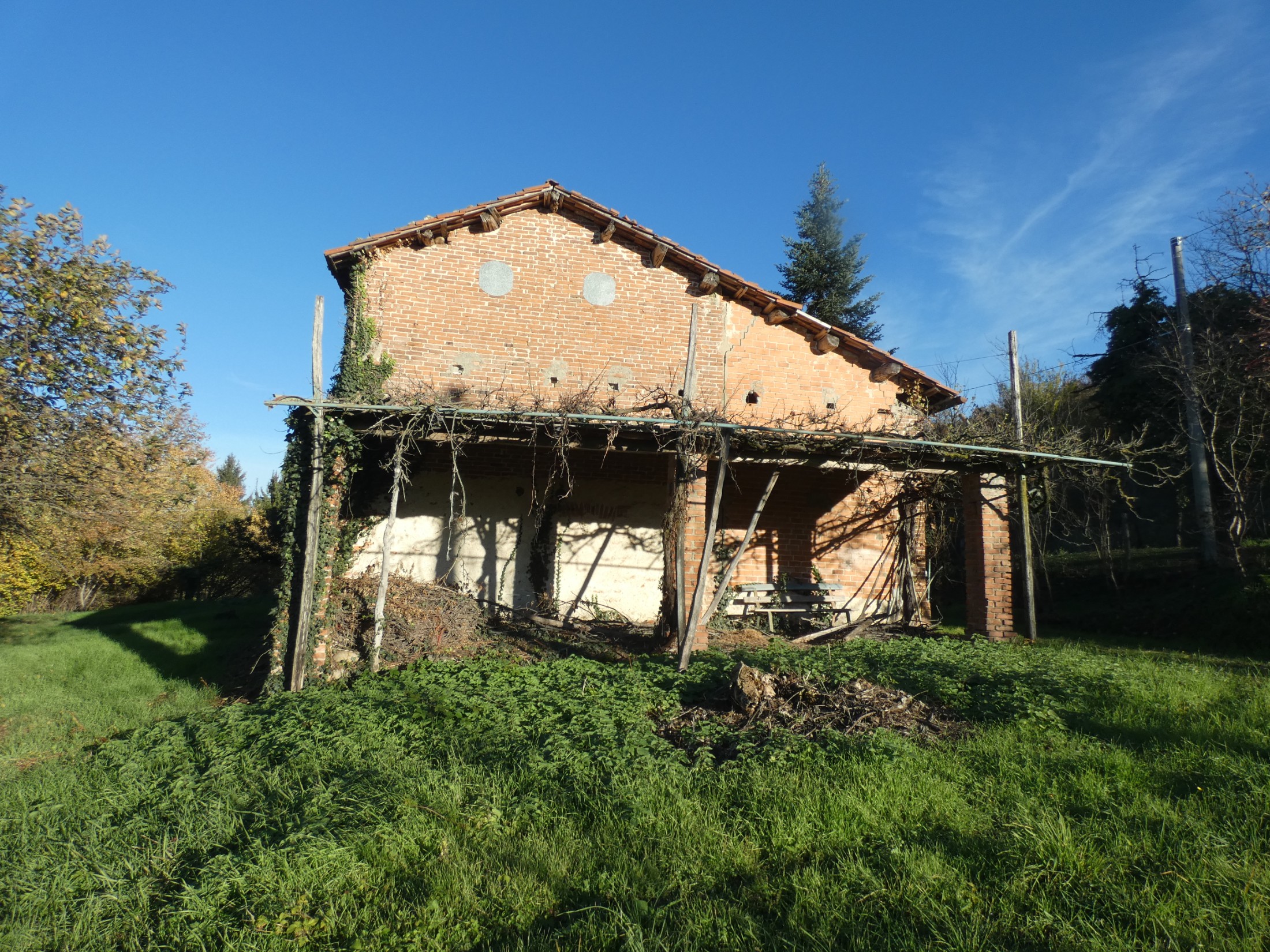 Immagine 3