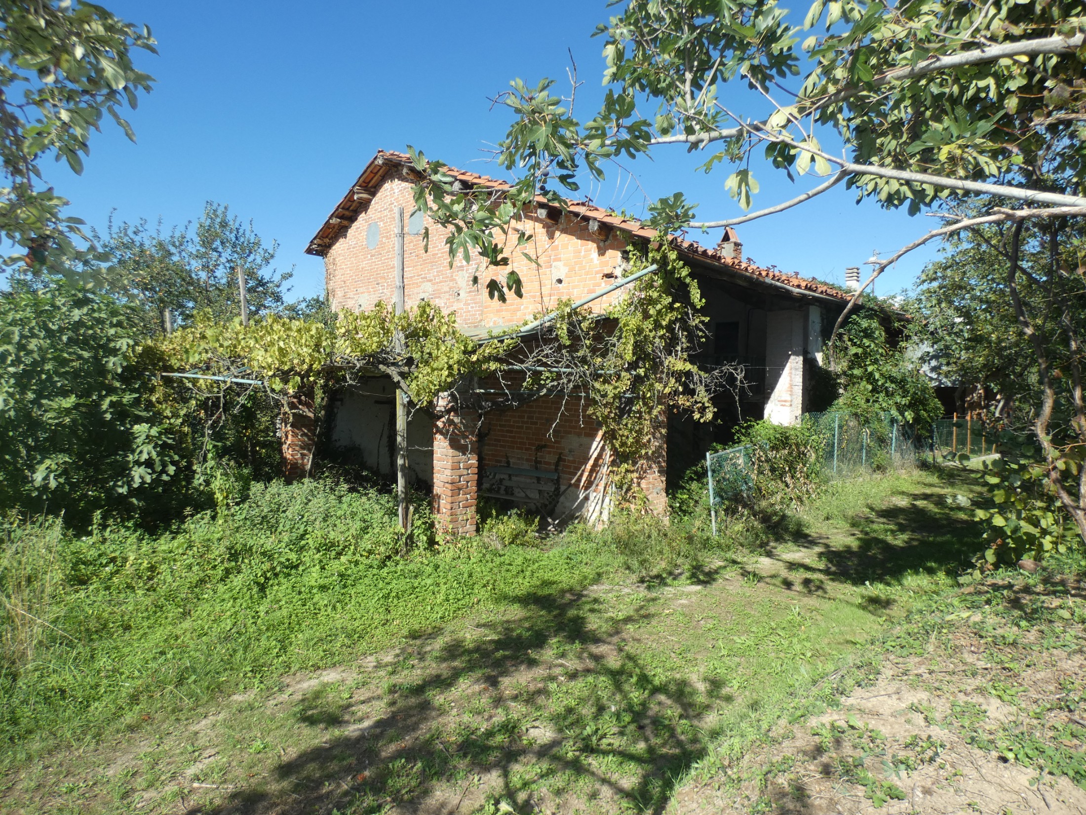 Immagine 2