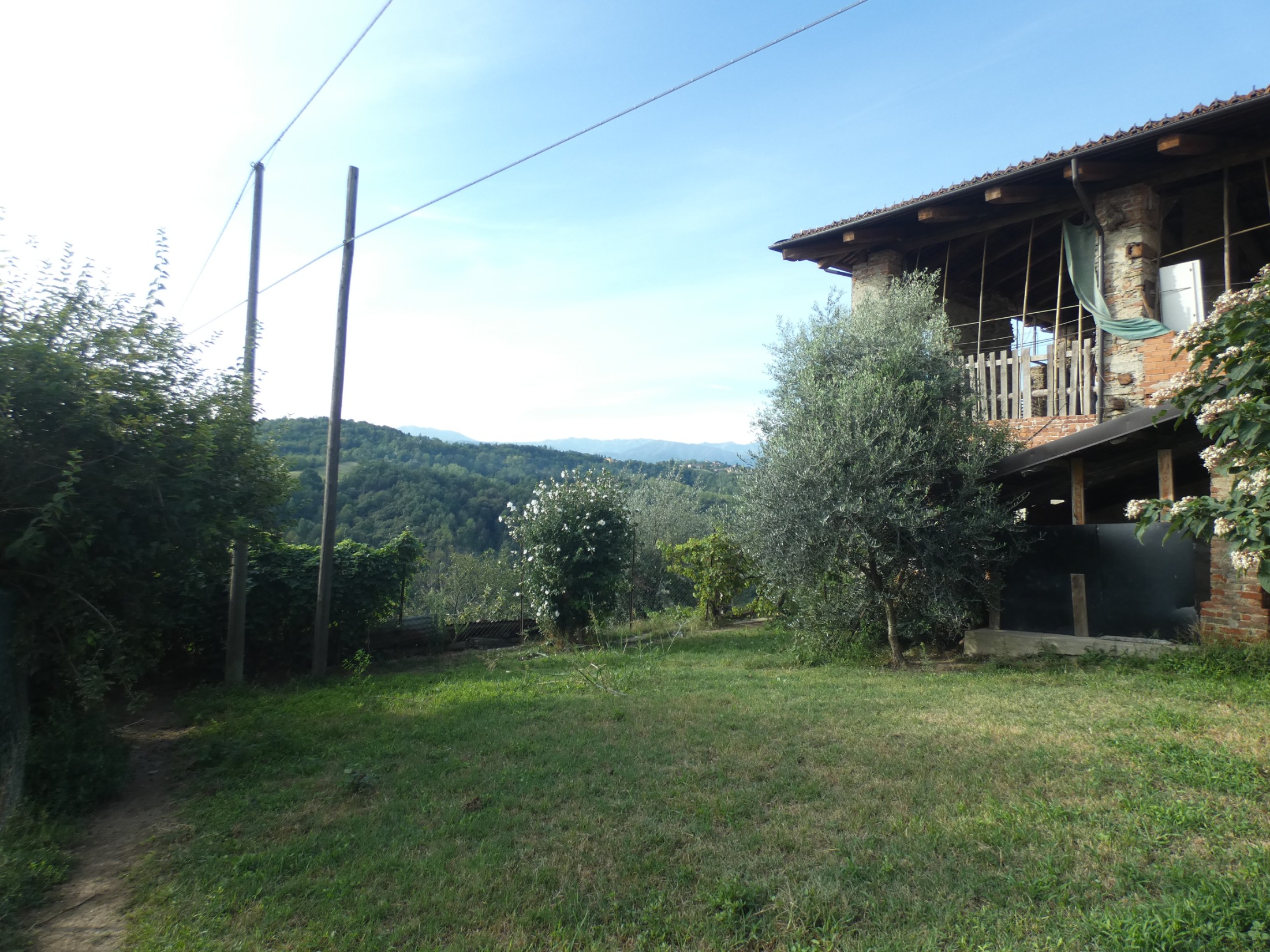 Immagine 25
