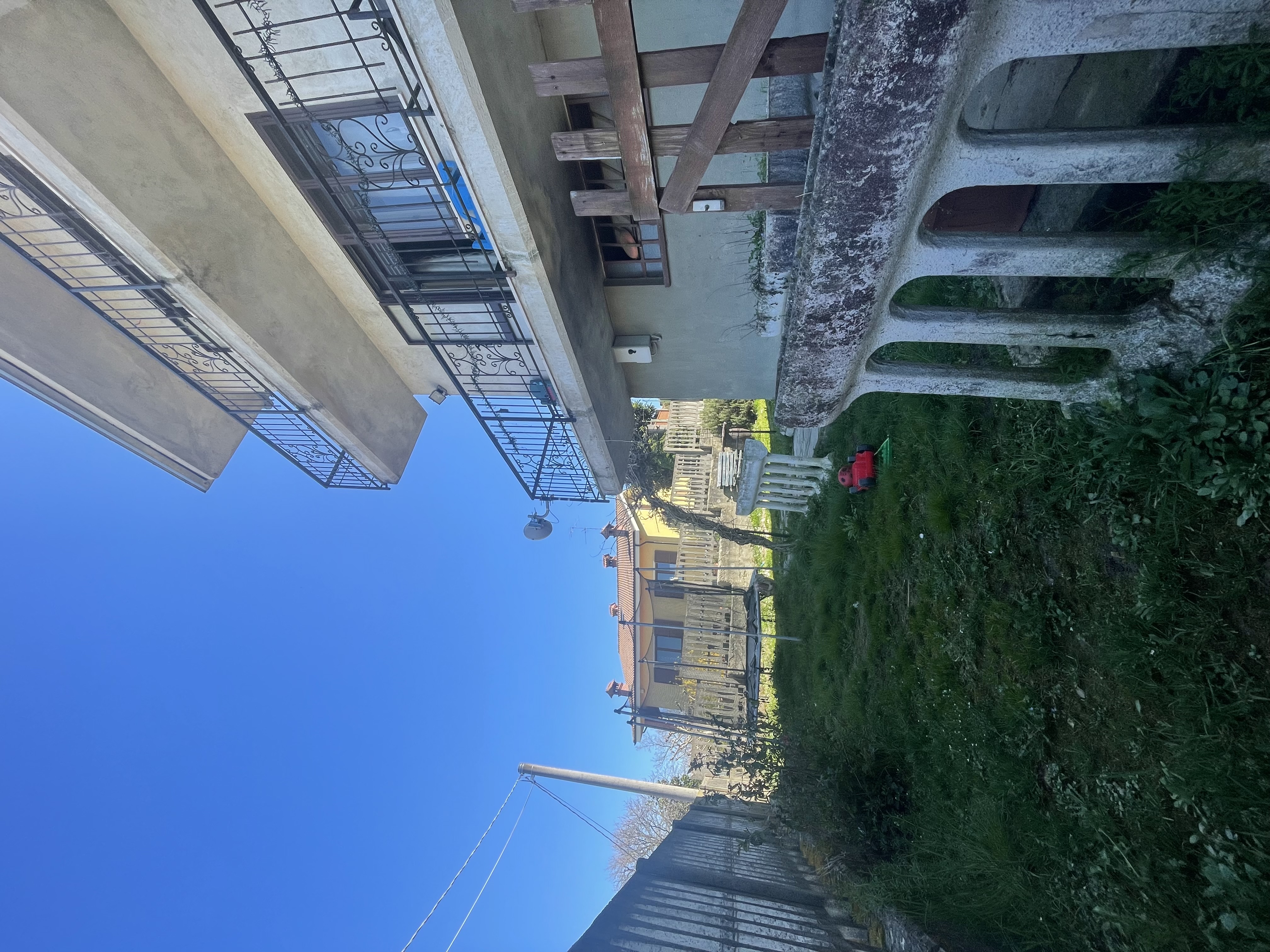 Immagine 2