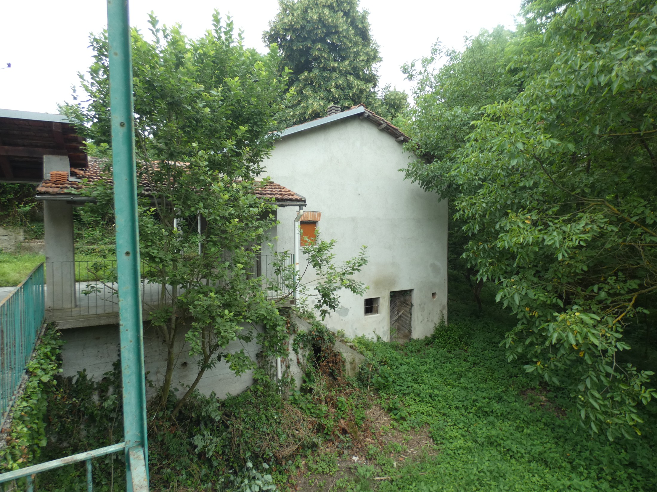 Immagine 3