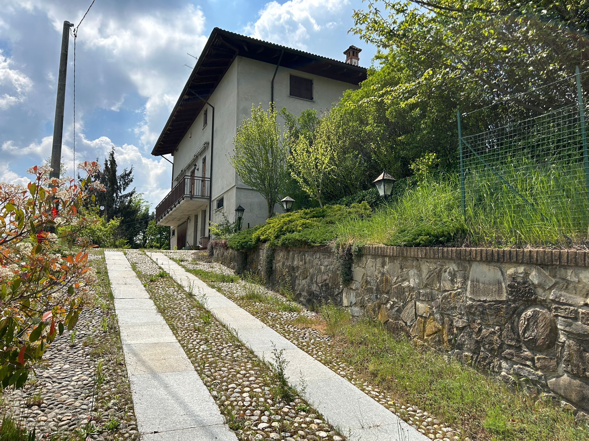 Immagine 3