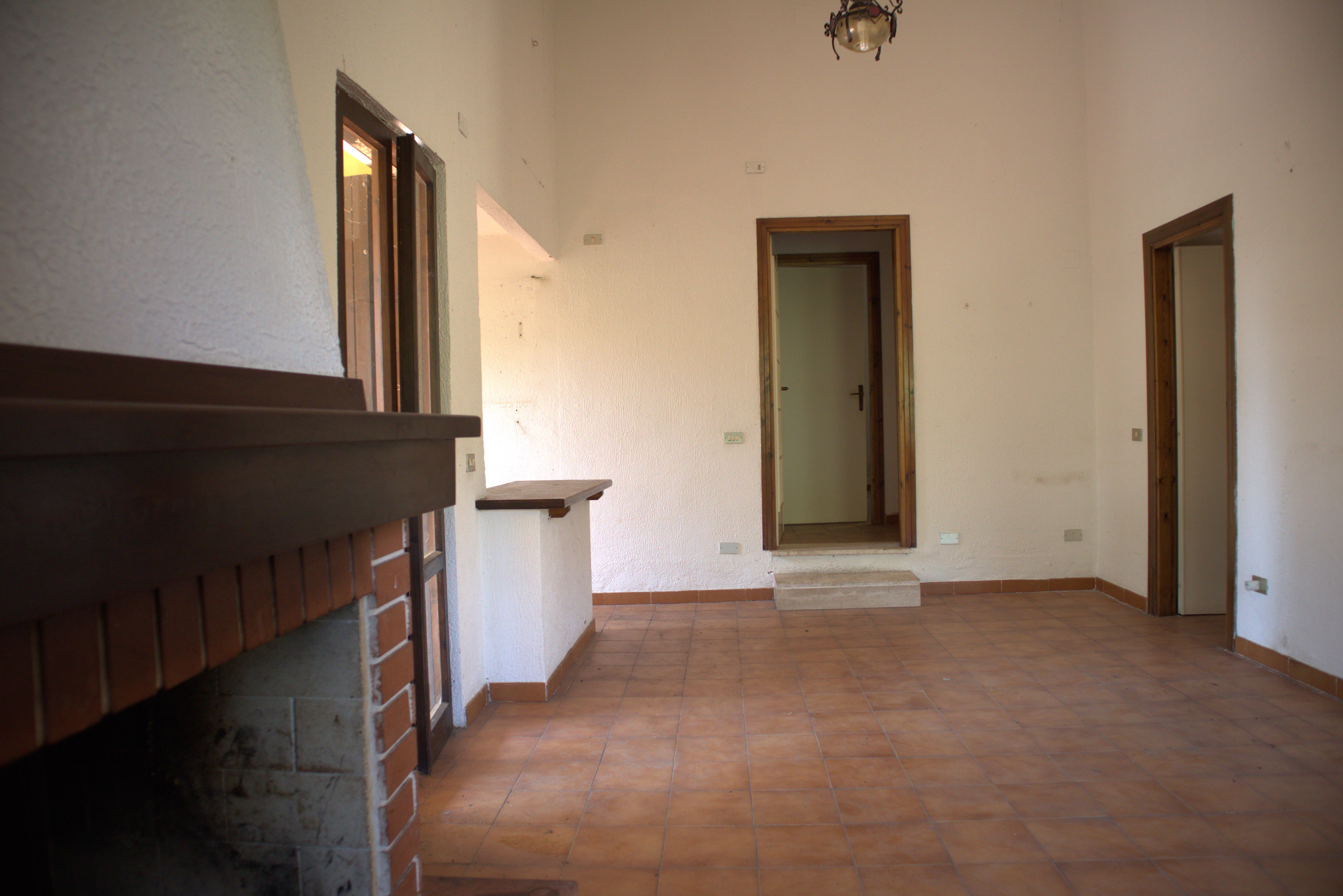 Immagine 6