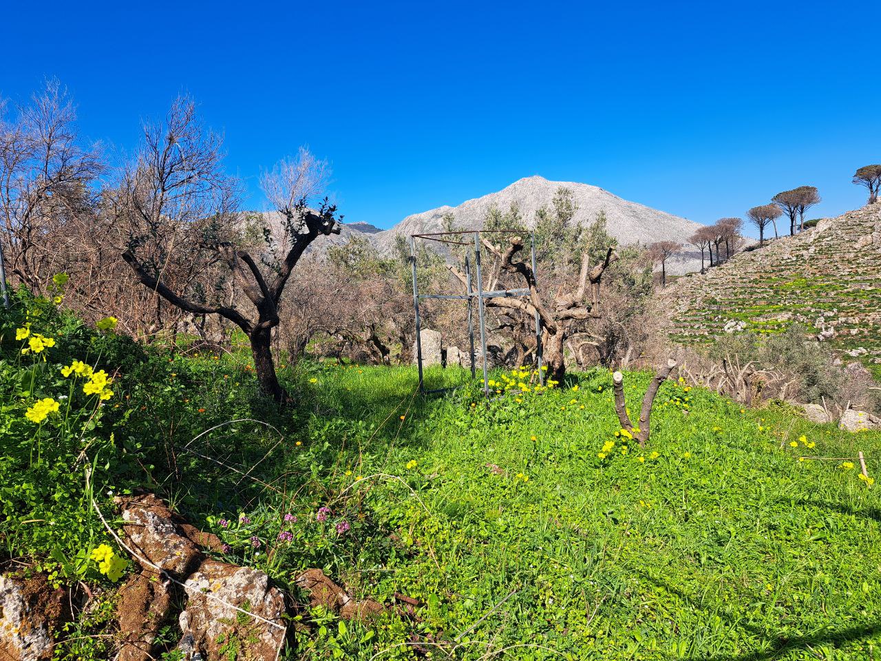 Str. Vic. Caputello terreno con progetto di 180 mq