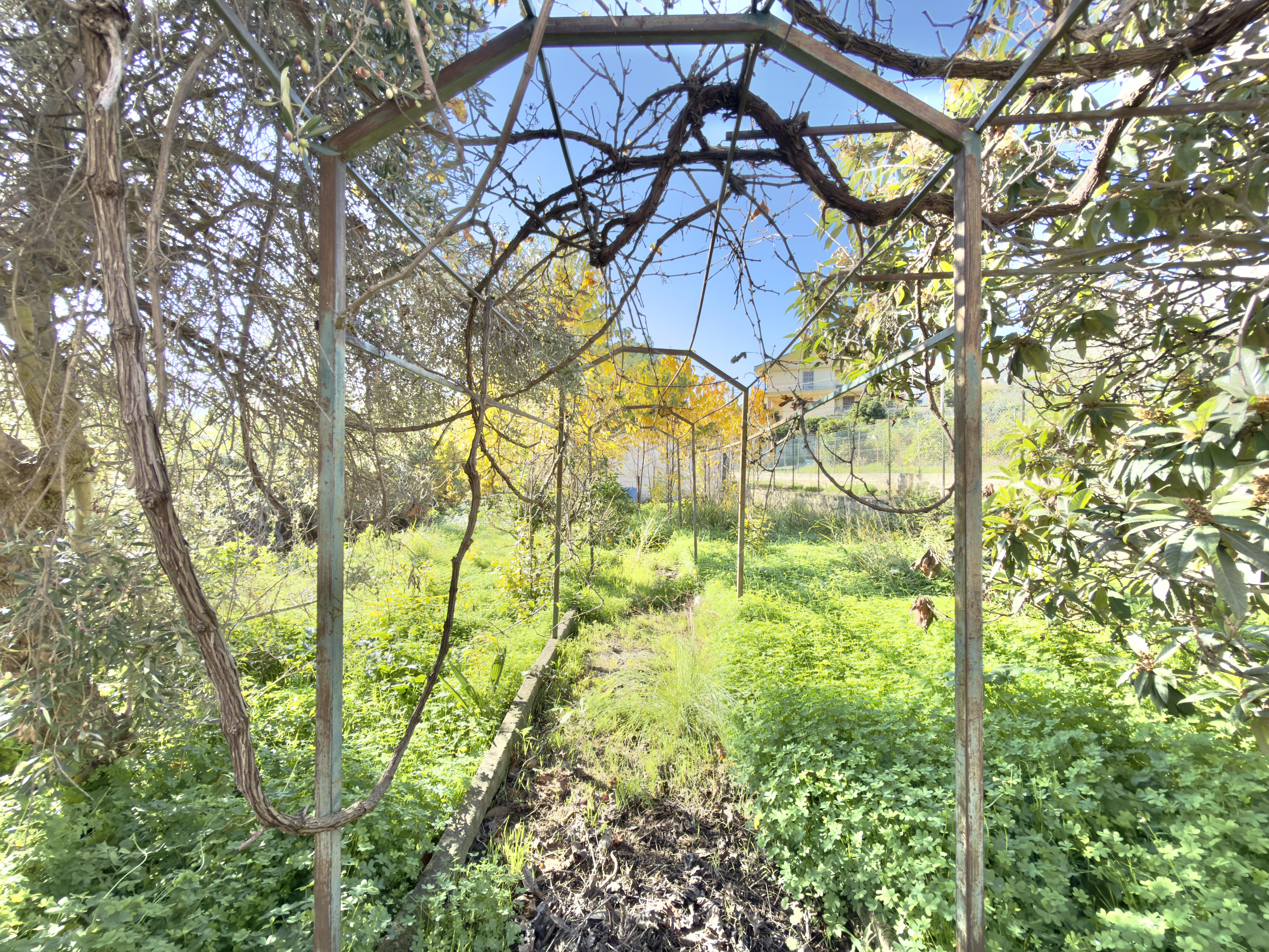 Via Santa Liberata, 3 locali in villa con giardino