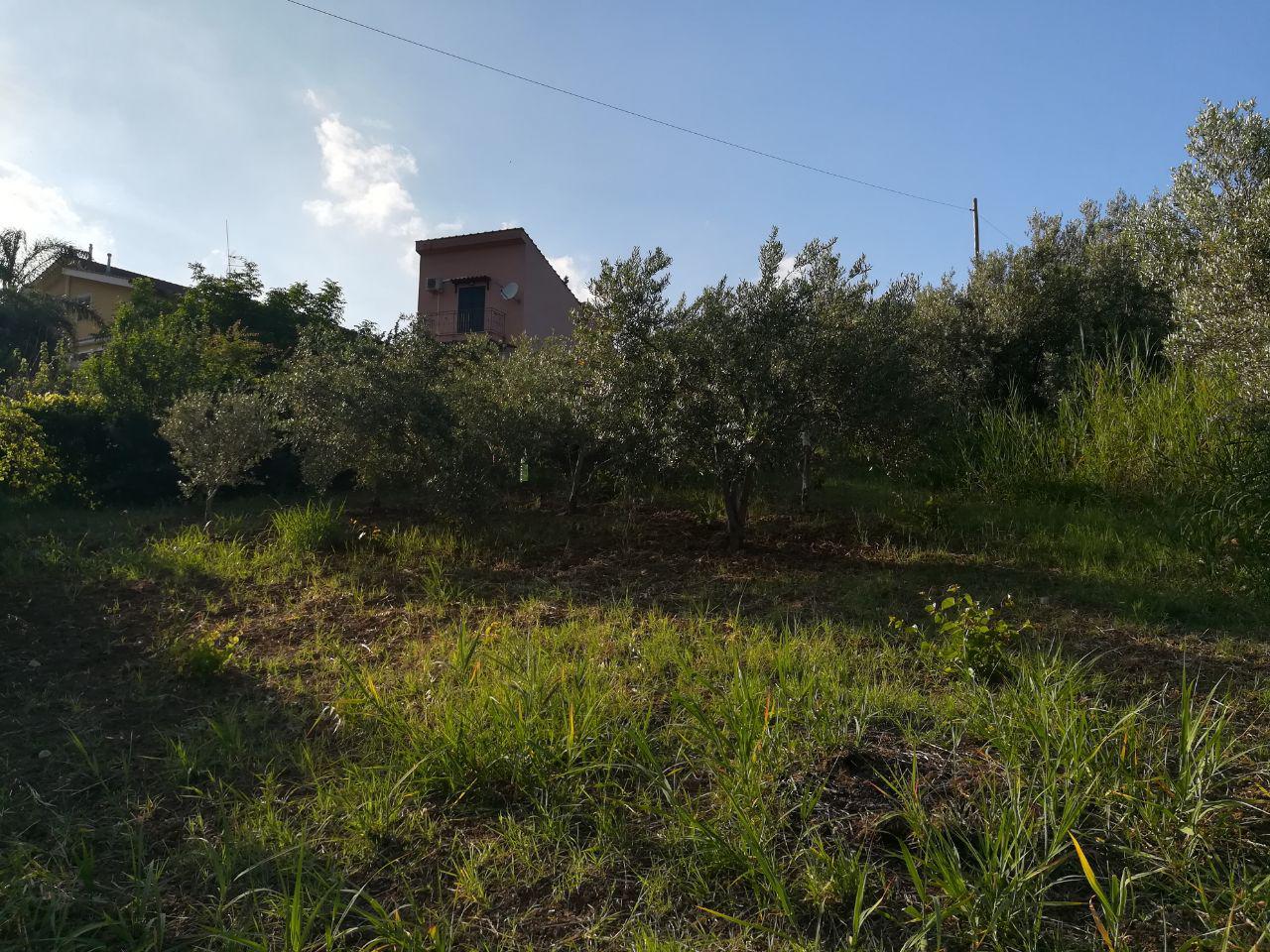 Via Fontana del Lupo terreno con fabbricato rurale