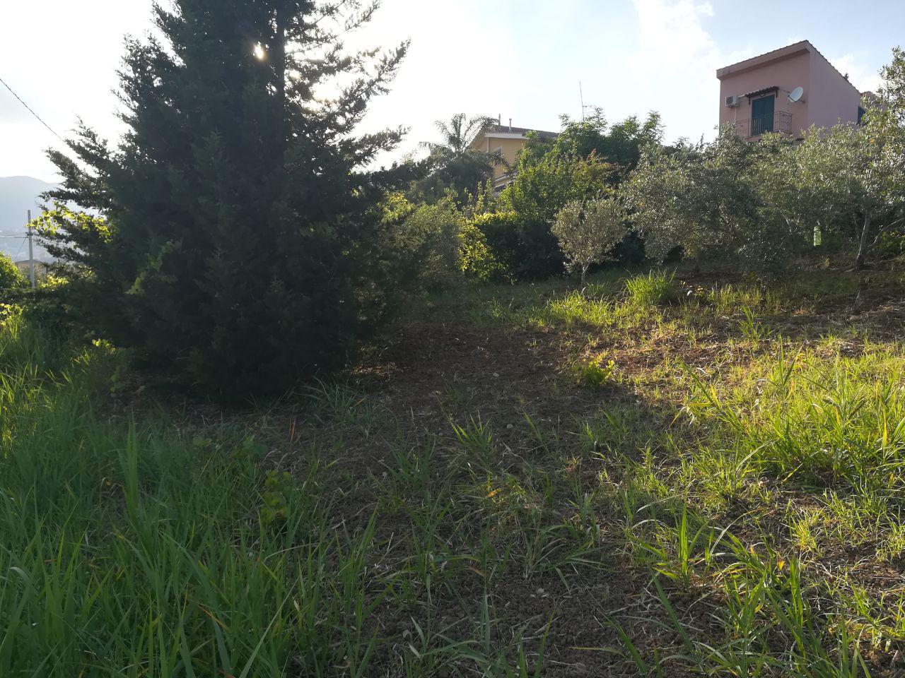 Via Fontana del Lupo terreno con fabbricato rurale