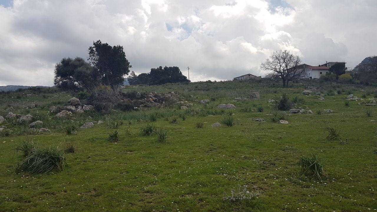Via Est.Cozzo Ingrassia grande terreno edificabile
