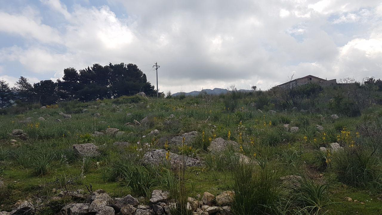 Via Est.Cozzo Ingrassia grande terreno edificabile