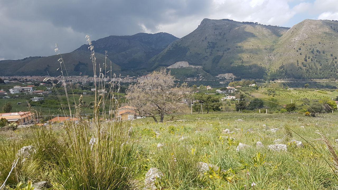 Via Est.Cozzo Ingrassia grande terreno edificabile