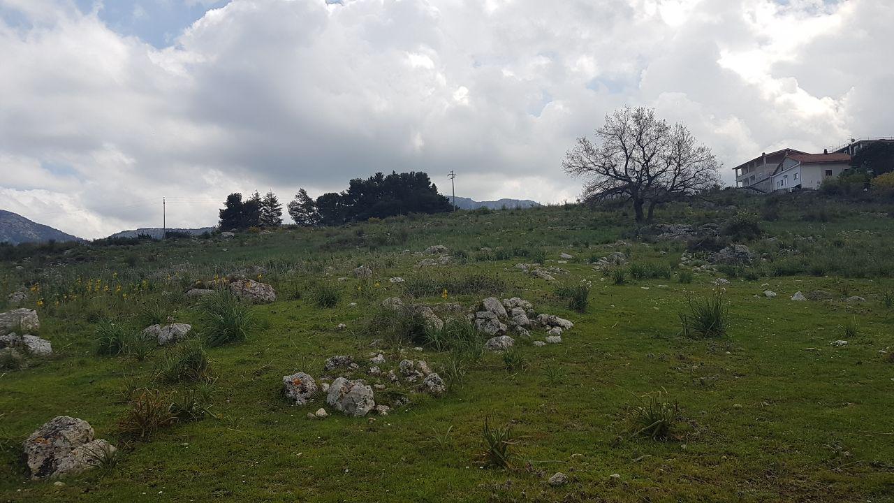 Via Est.Cozzo Ingrassia grande terreno edificabile