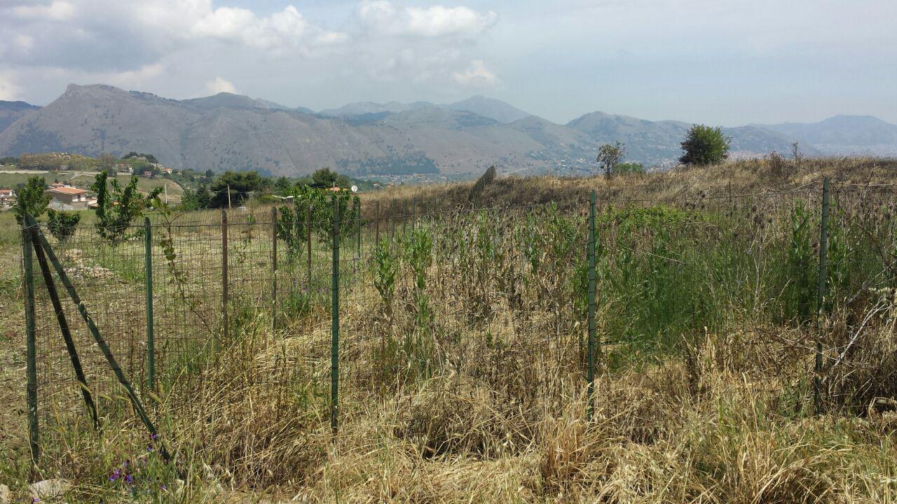 S P 89, terreno pianeggiante con vista panoramica