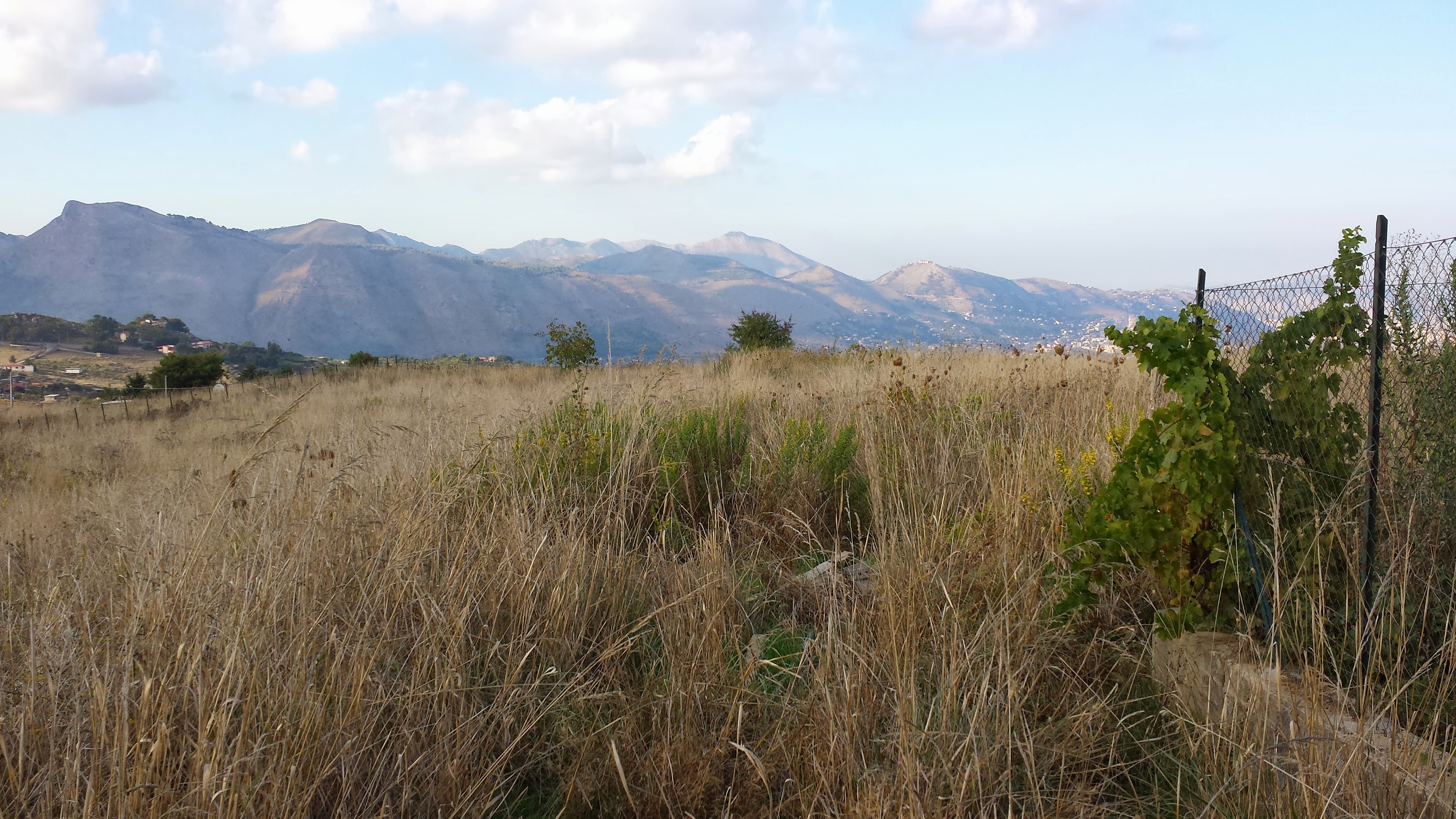 S P 89, terreno pianeggiante con vista panoramica