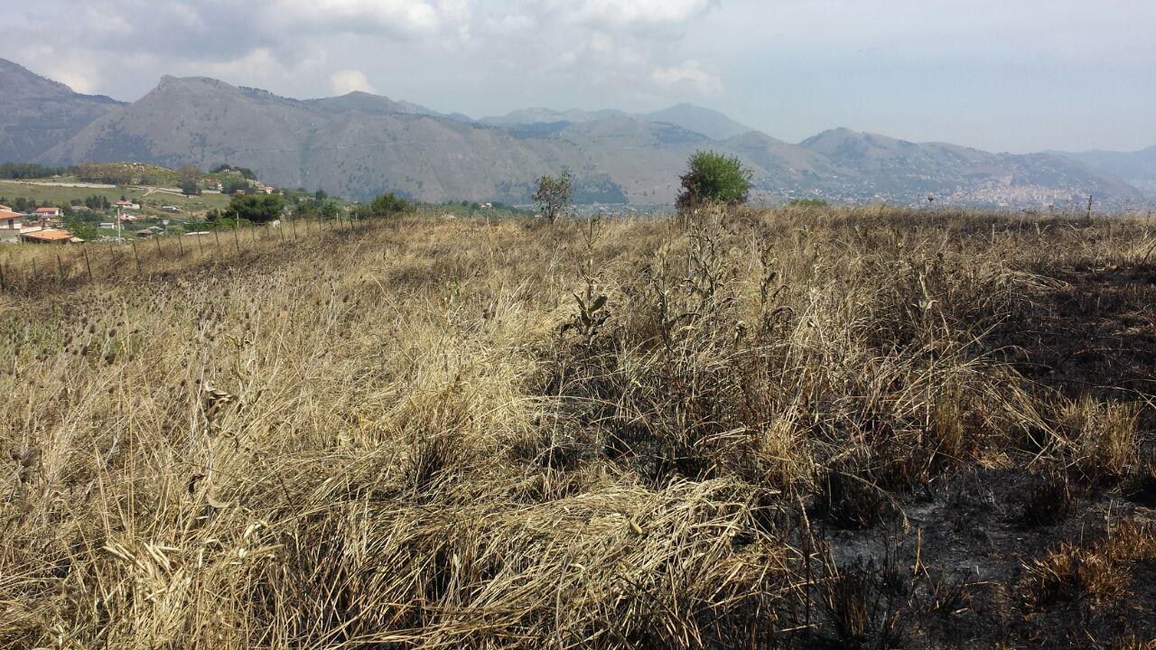 S P 89, terreno pianeggiante con vista panoramica