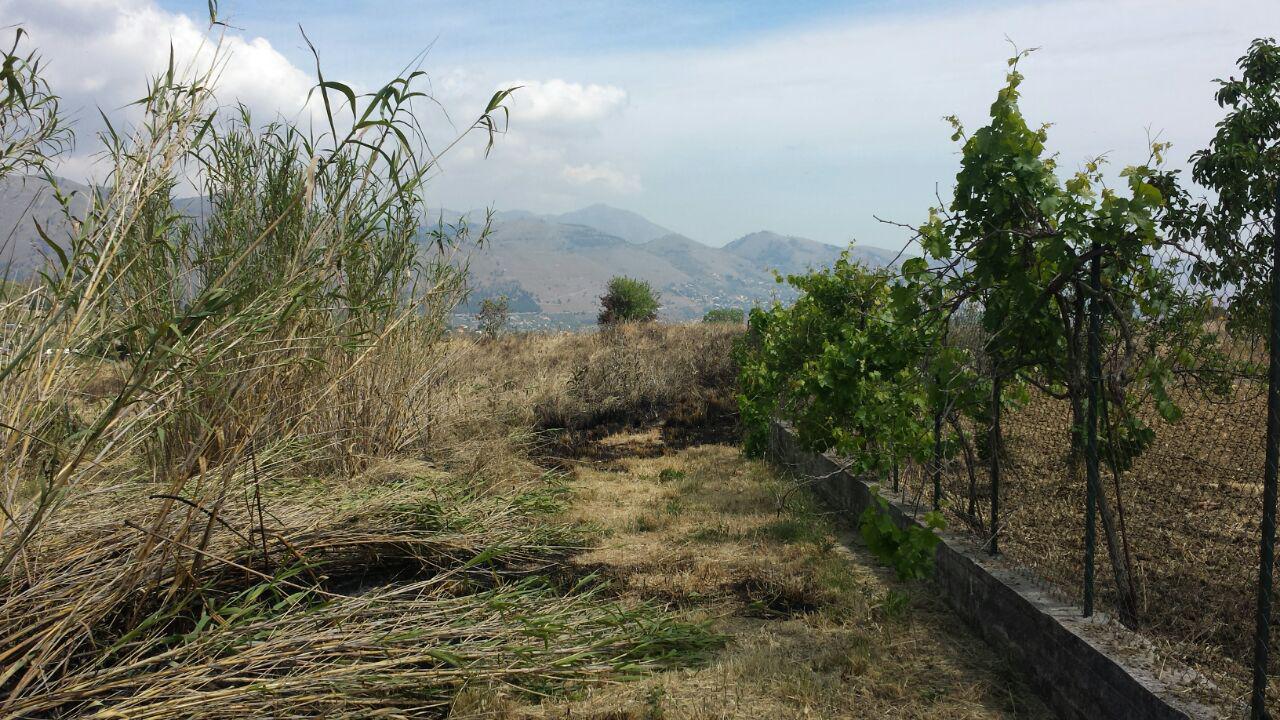 S P 89, terreno pianeggiante con vista panoramica