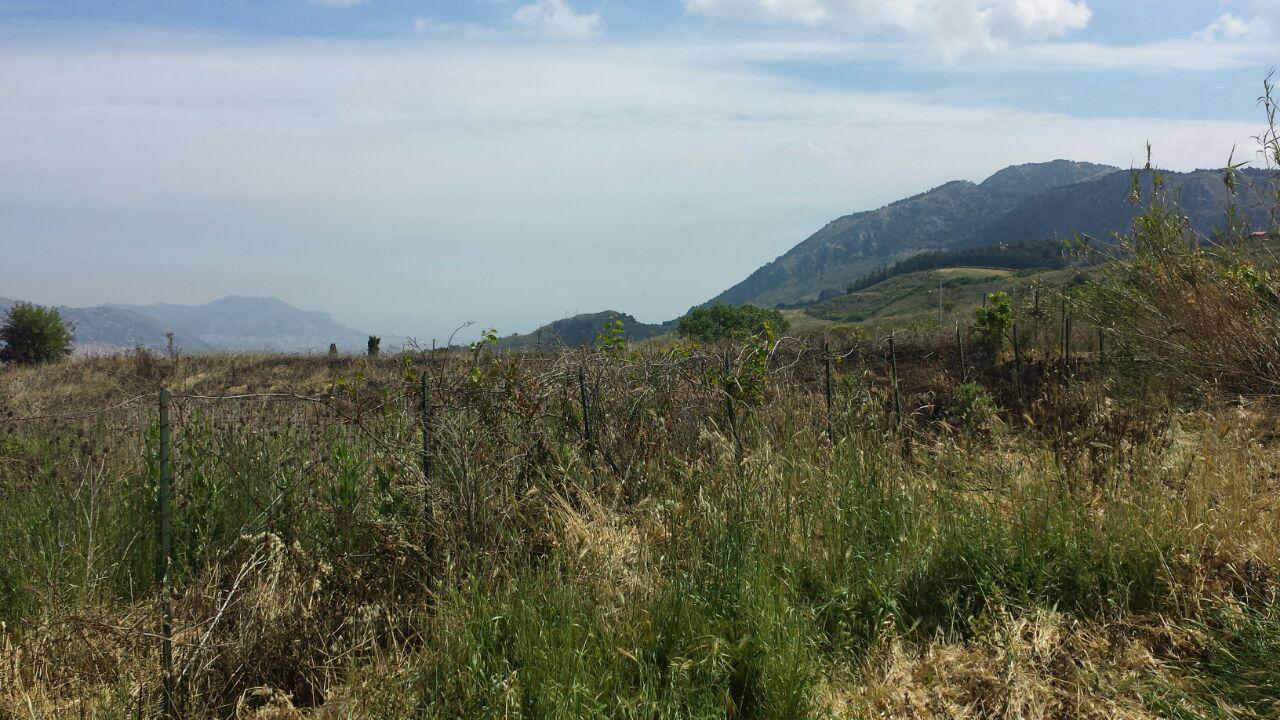S P 89, terreno pianeggiante con vista panoramica