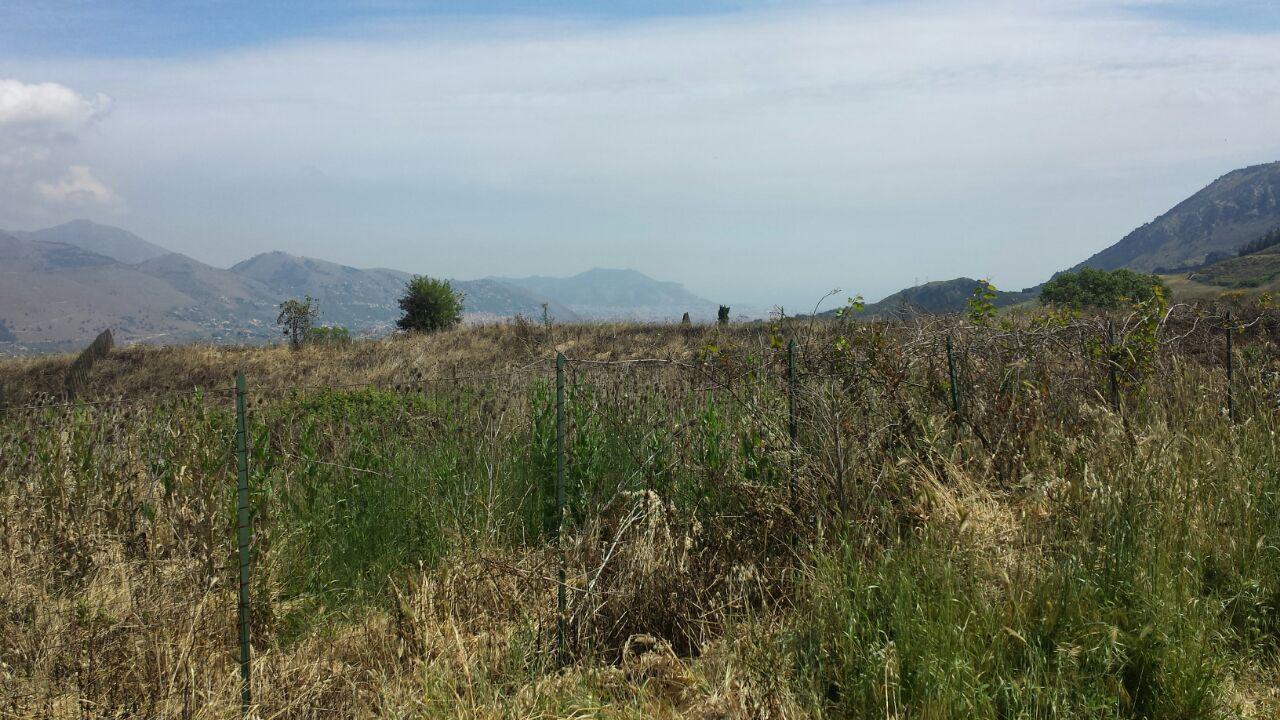 S P 89, terreno pianeggiante con vista panoramica