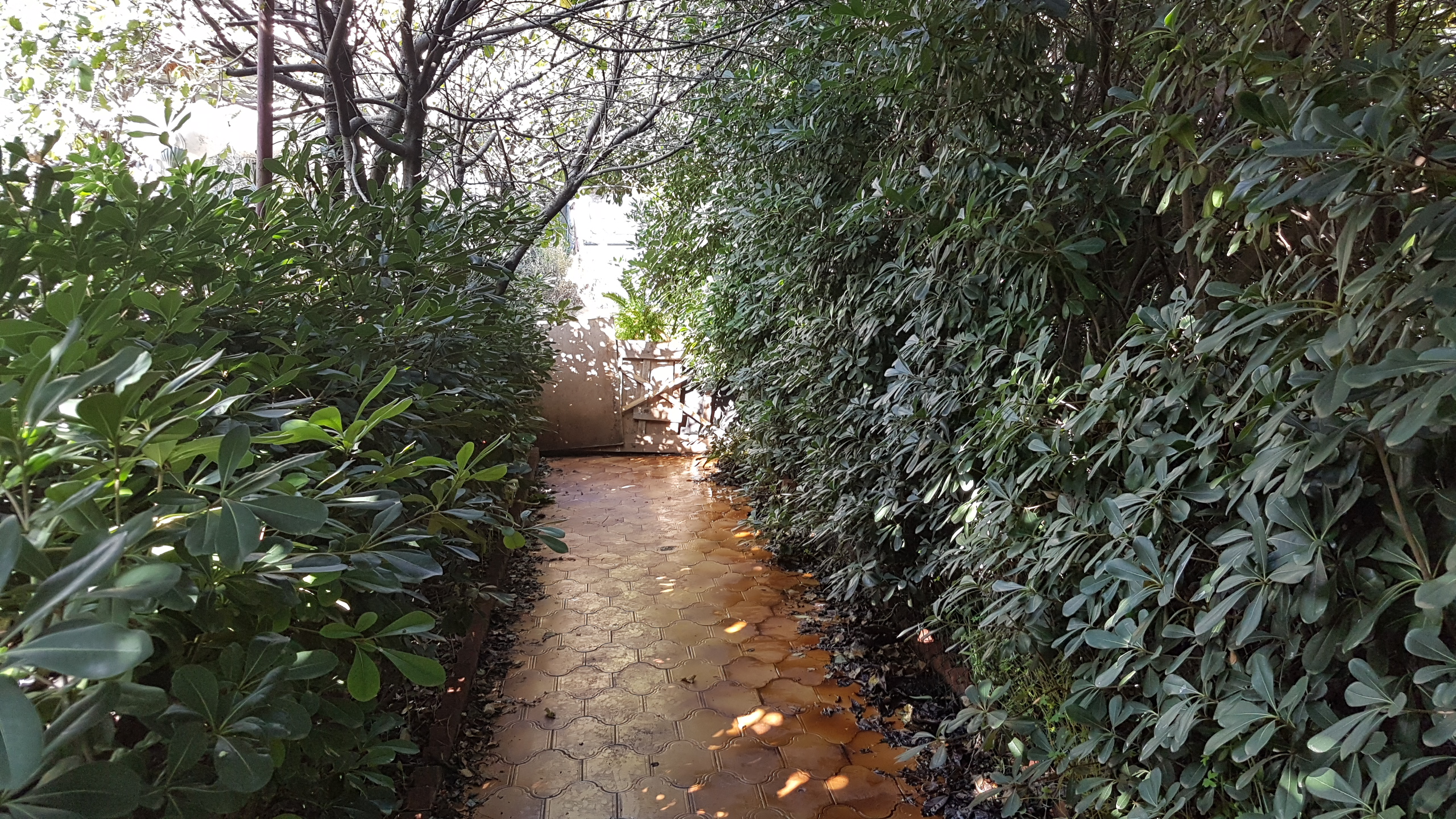 Via Torrente d'Inverno, villino con spazi esterni