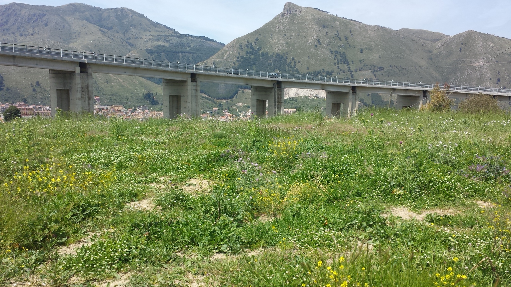 Via del Pigno, terreno irriguo di facile accesso