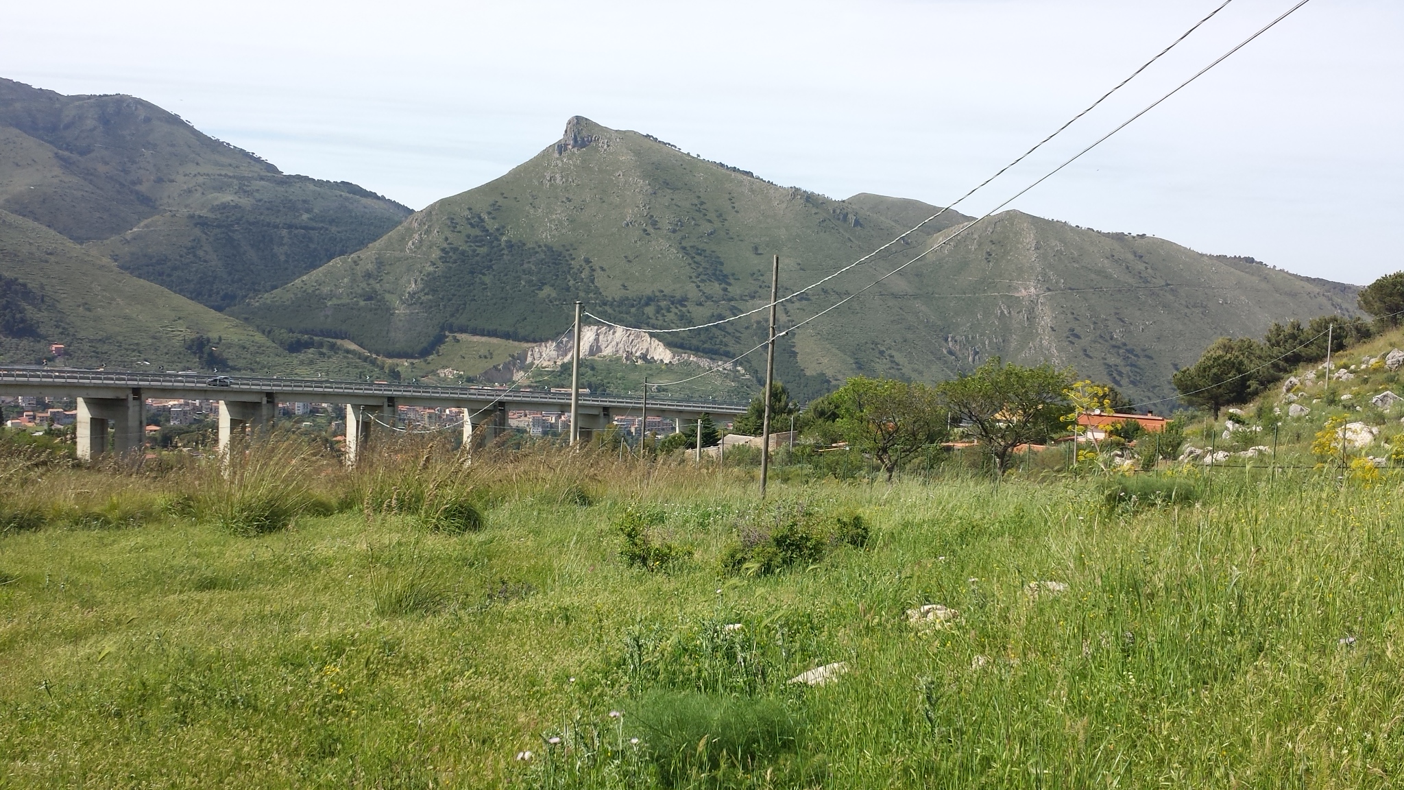 Via del Pigno, terreno irriguo di facile accesso