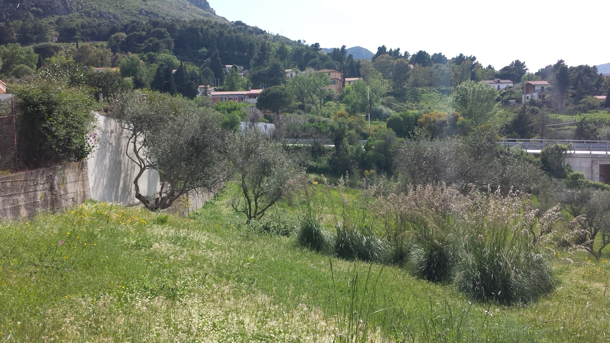 Via del Pigno, terreno irriguo di facile accesso