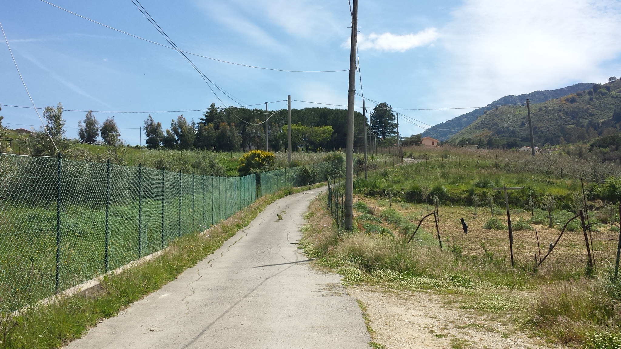 Via del Pigno, terreno irriguo di facile accesso
