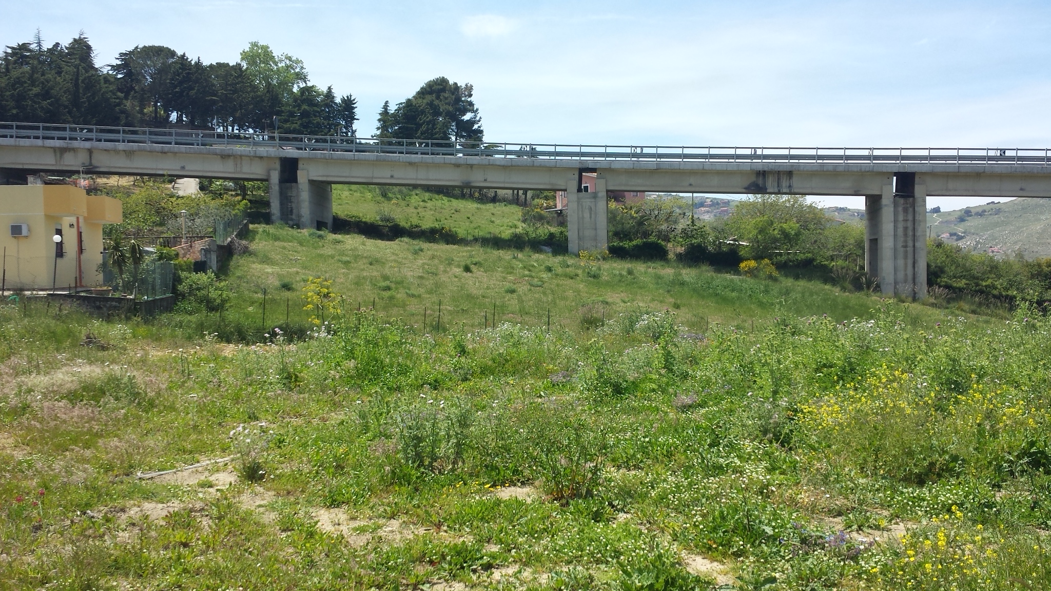 Via del Pigno, terreno irriguo di facile accesso