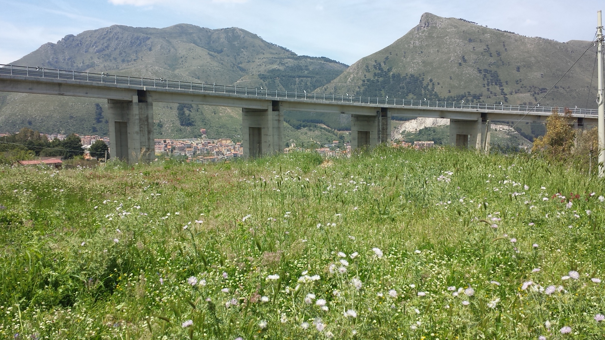 Via del Pigno, terreno irriguo di facile accesso
