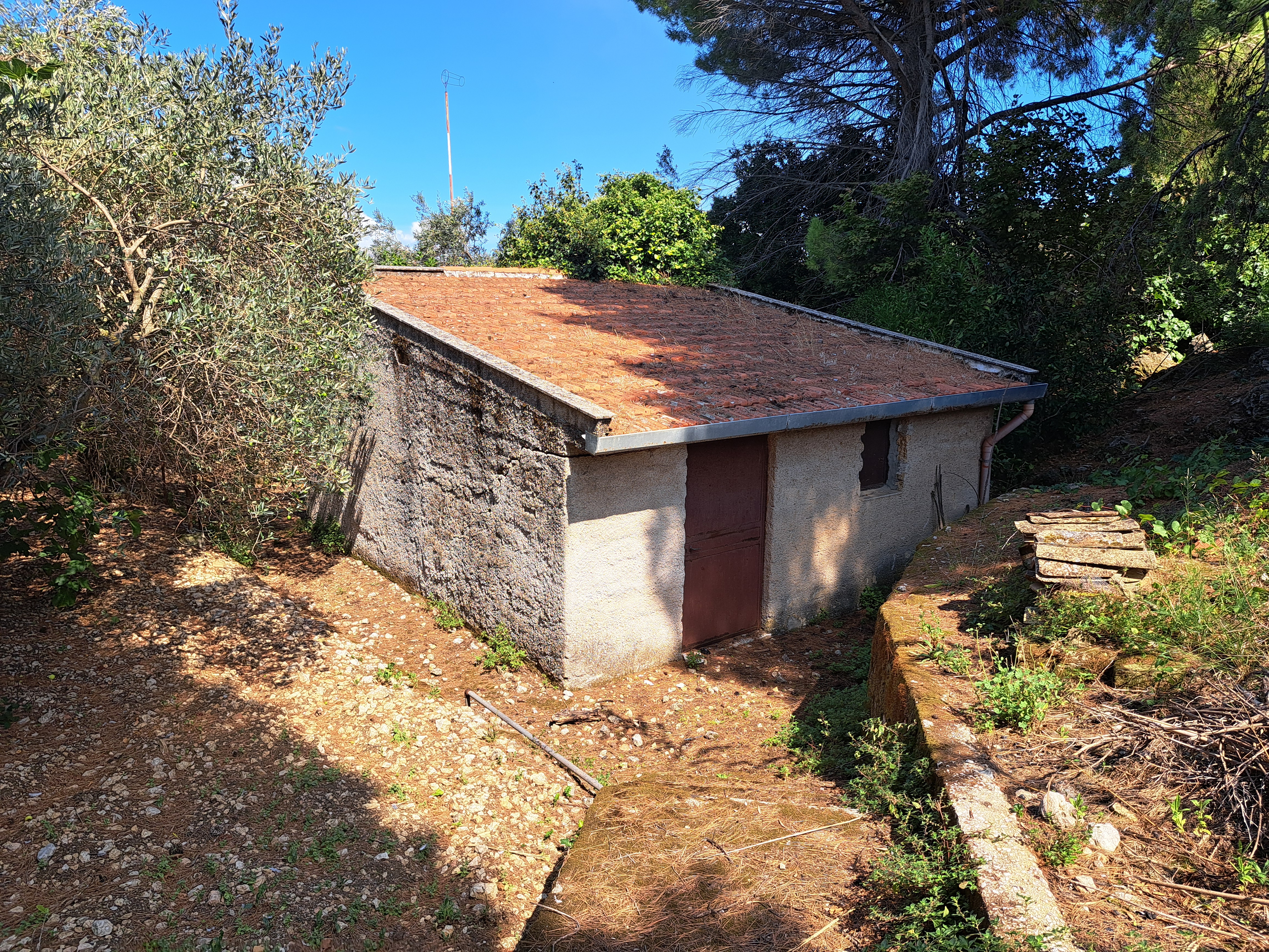 Via Livia De Stefani già Via P. G. 11, villino 3 vani con terrazzo, magazzino e 4.000 mq di terreno