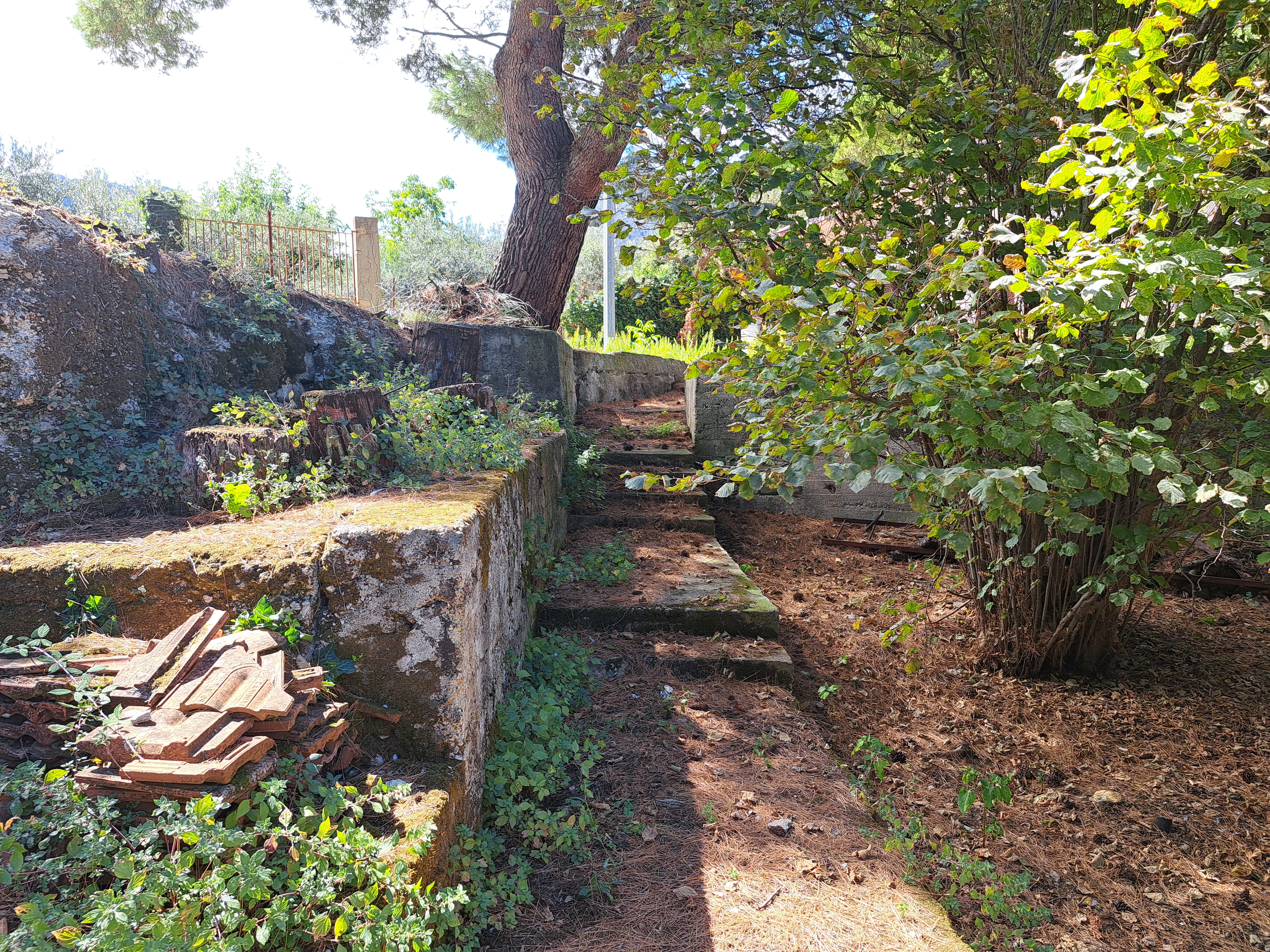 Via Livia De Stefani già Via P. G. 11, villino 3 vani con terrazzo, magazzino e 4.000 mq di terreno
