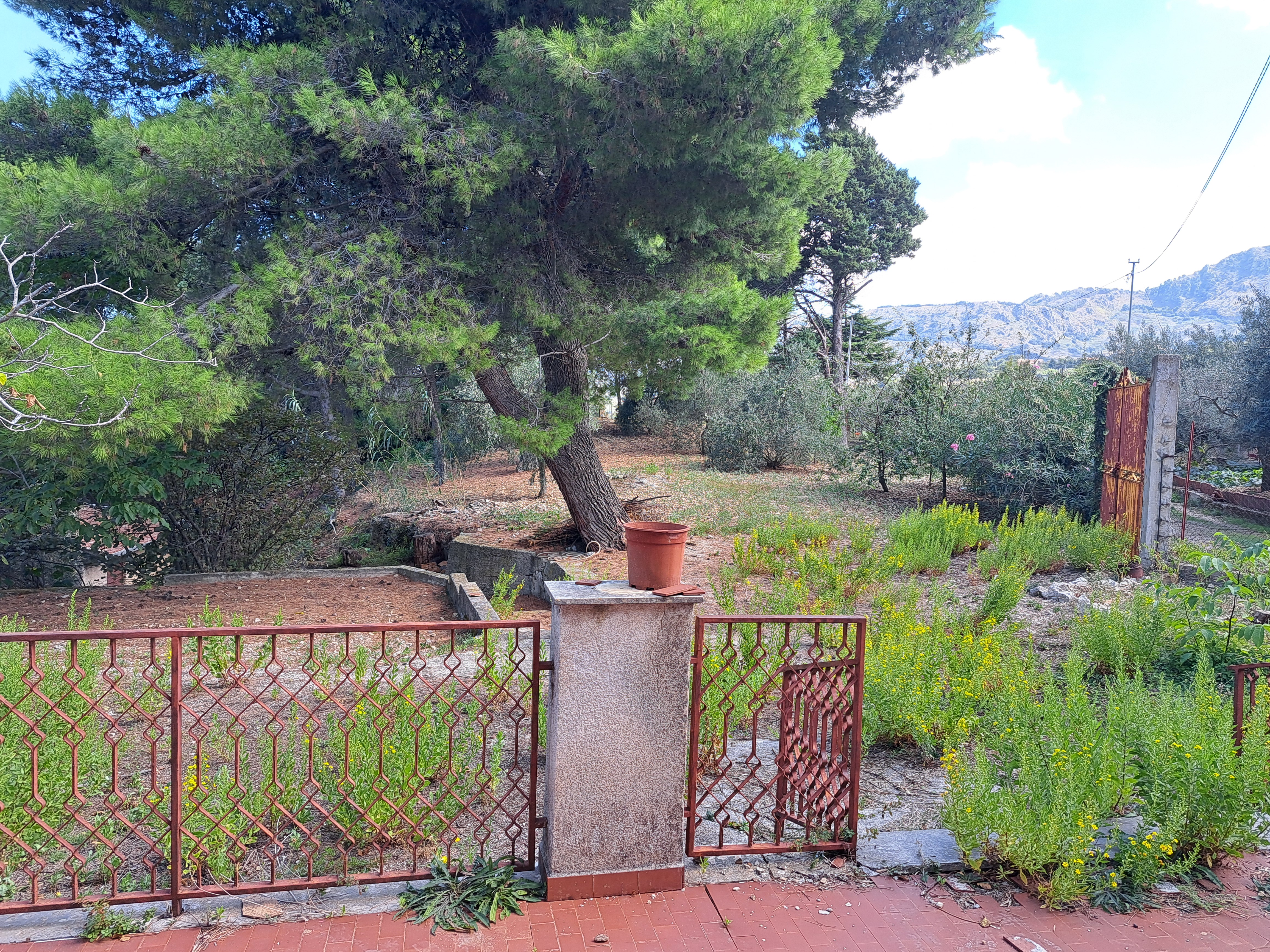 Via Livia De Stefani già Via P. G. 11, villino 3 vani con terrazzo, magazzino e 4.000 mq di terreno