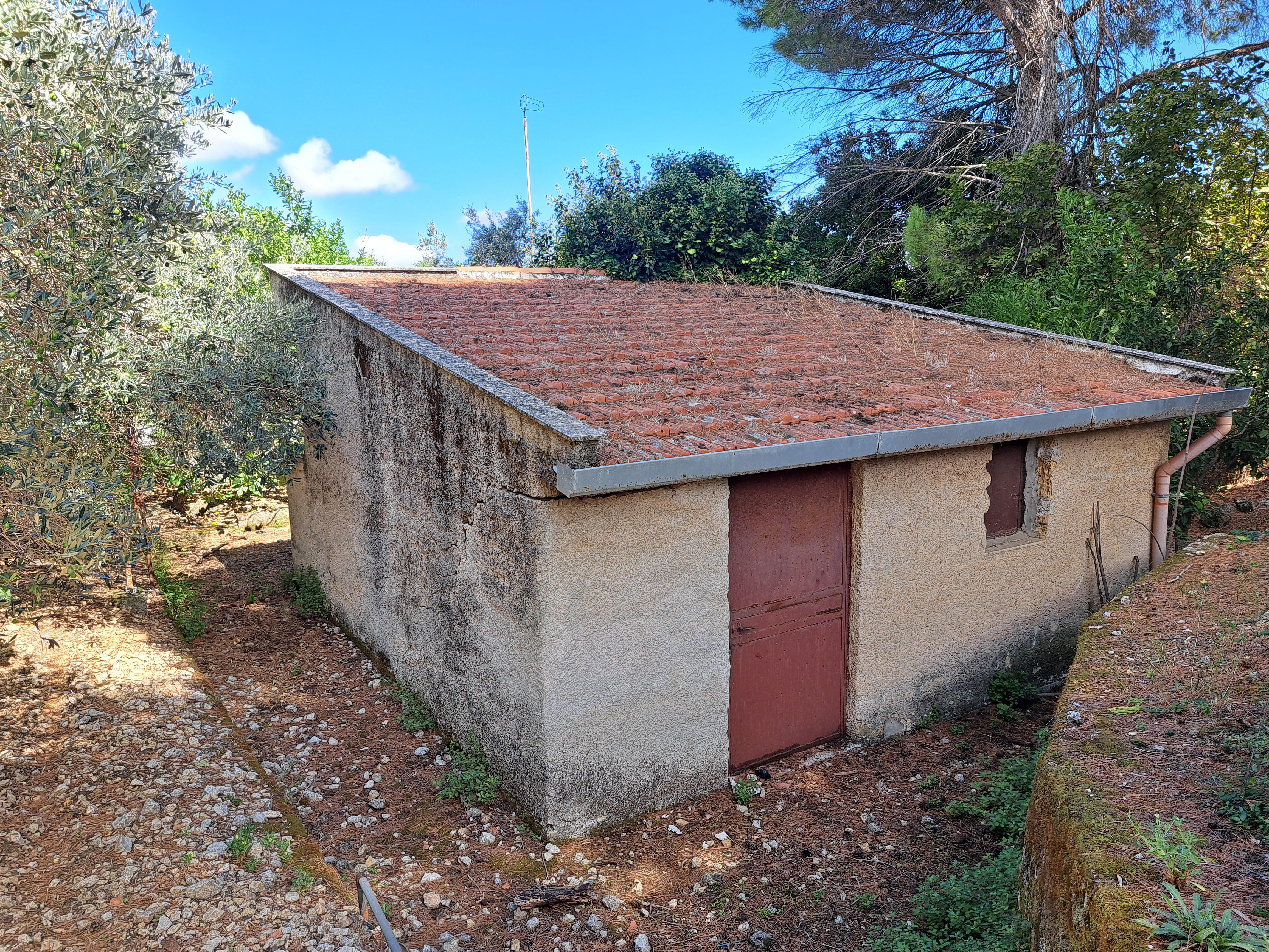 Via Livia De Stefani già Via P. G. 11, villino 3 vani con terrazzo, magazzino e 4.000 mq di terreno