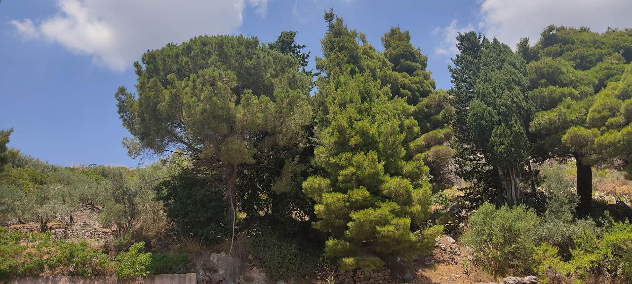 Via Provinciale, ampio 3 vani con grande balconata