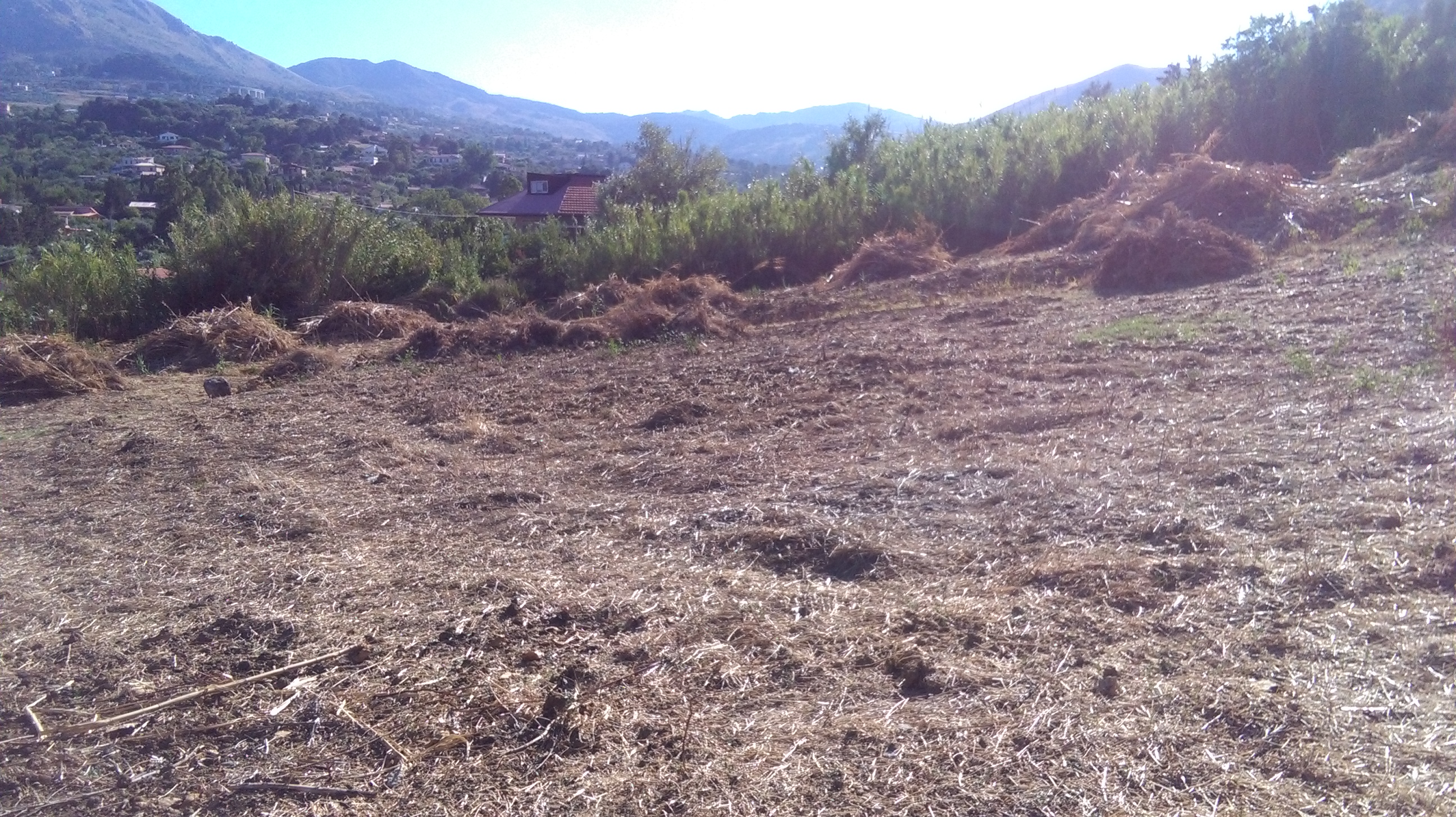 Via Pezzingoli, terreno edificabile con magazzino