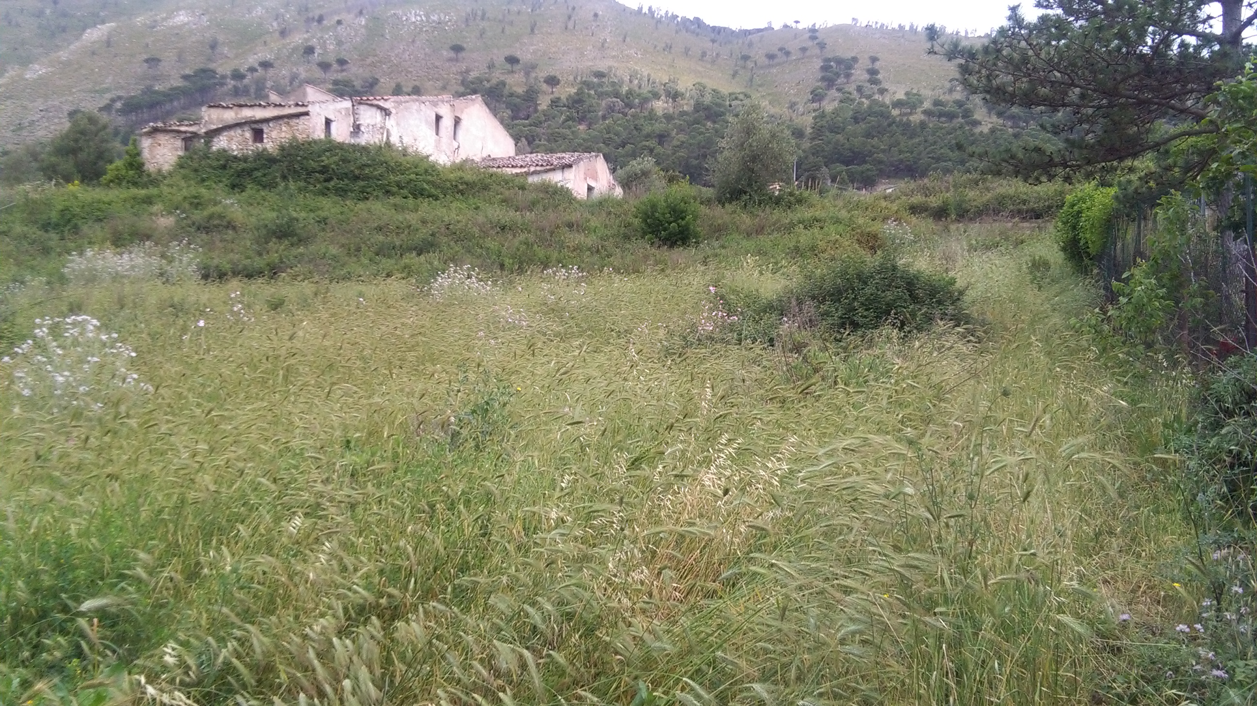 Via Pezzingoli, terreno edificabile con magazzino