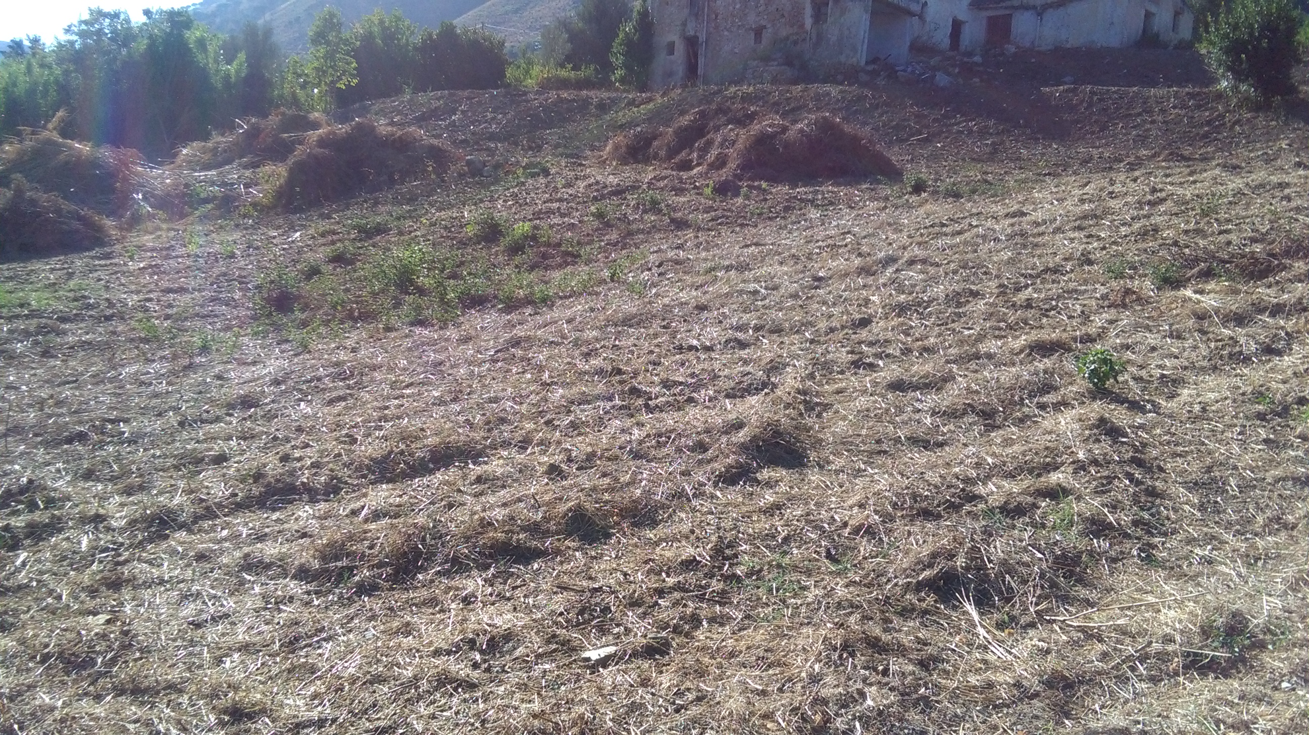 Via Pezzingoli, terreno edificabile con magazzino