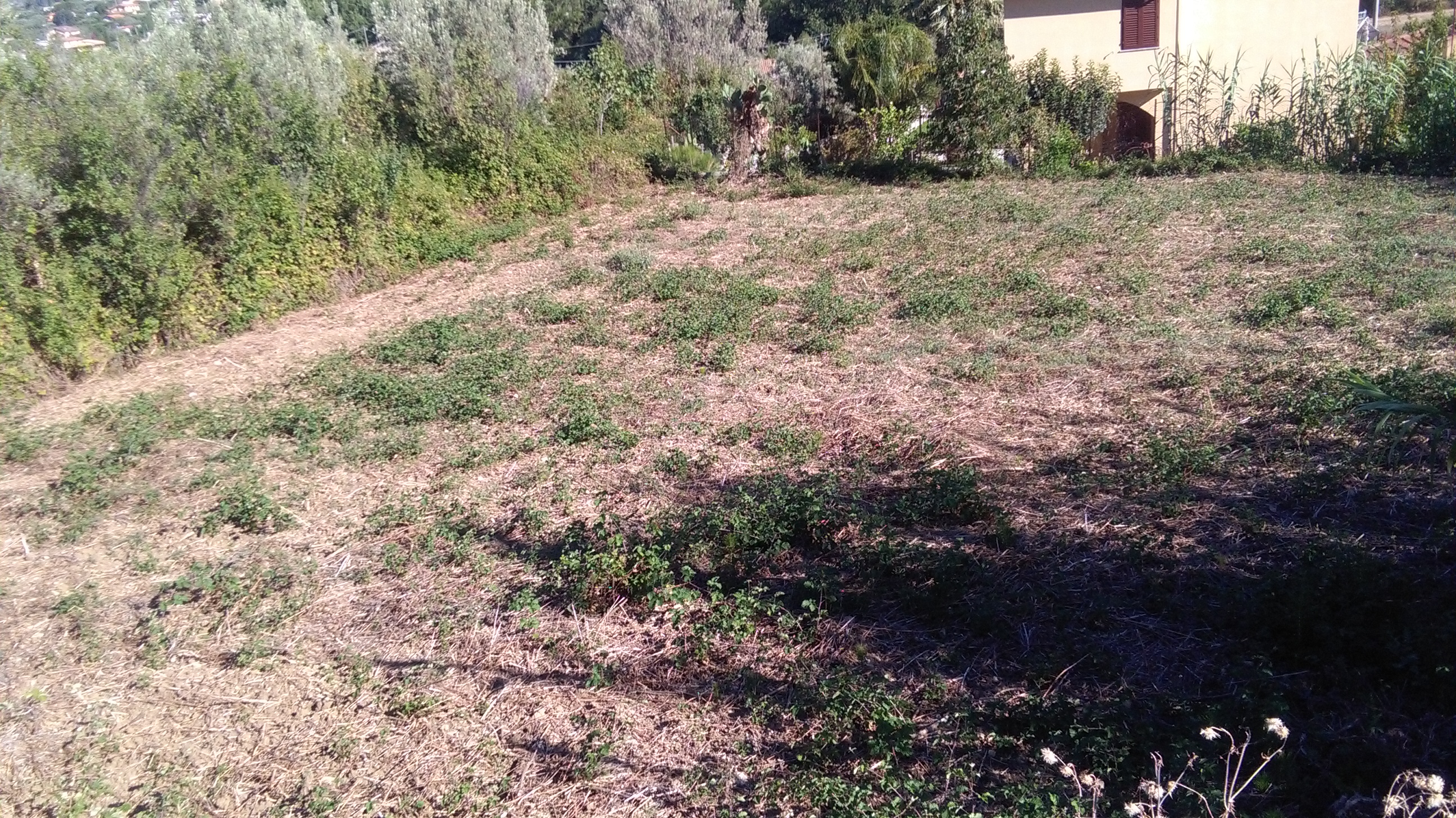 Via Pezzingoli, terreno edificabile con magazzino