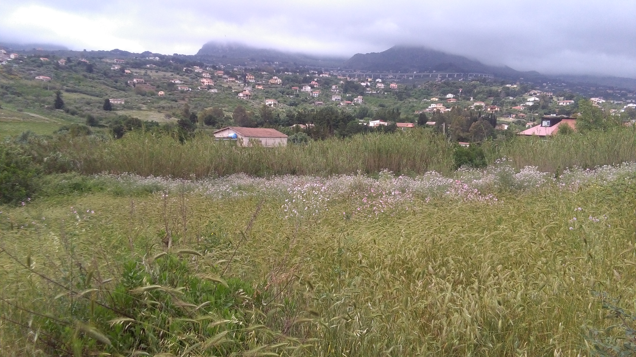 Via Pezzingoli, terreno edificabile con magazzino