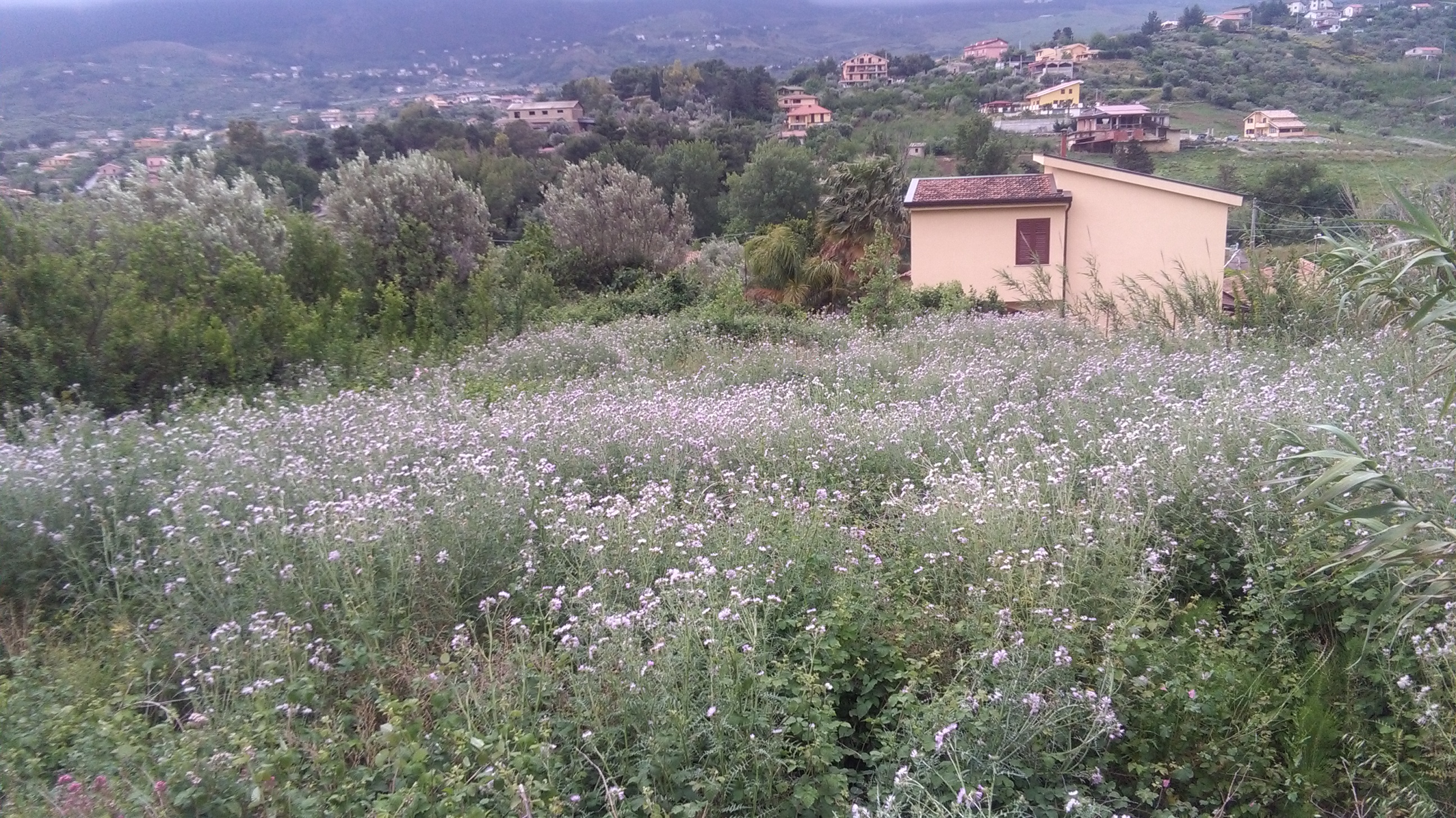 Via Pezzingoli, terreno edificabile con magazzino